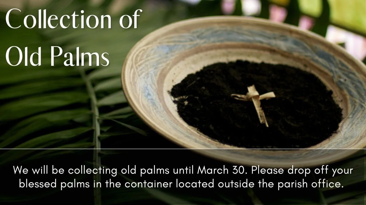 Collection of Old Palms (YouTube Thumbnail).jpg