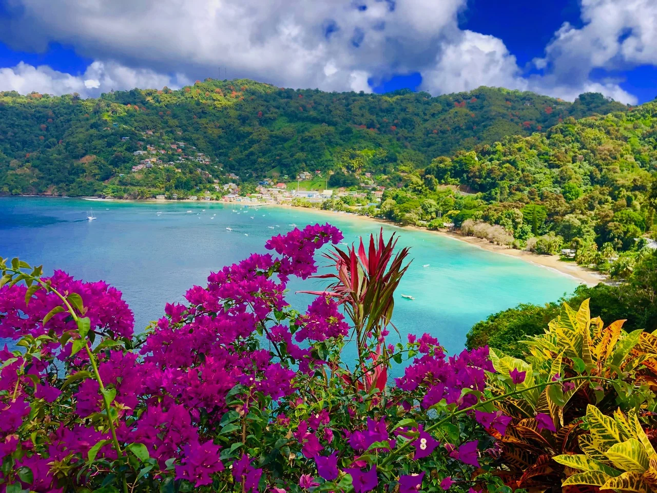 Met de wind mee waaien