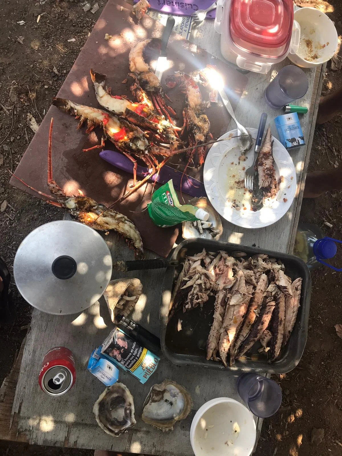 Quarantaine, de ultieme oefening in ‘leven bij de dag’