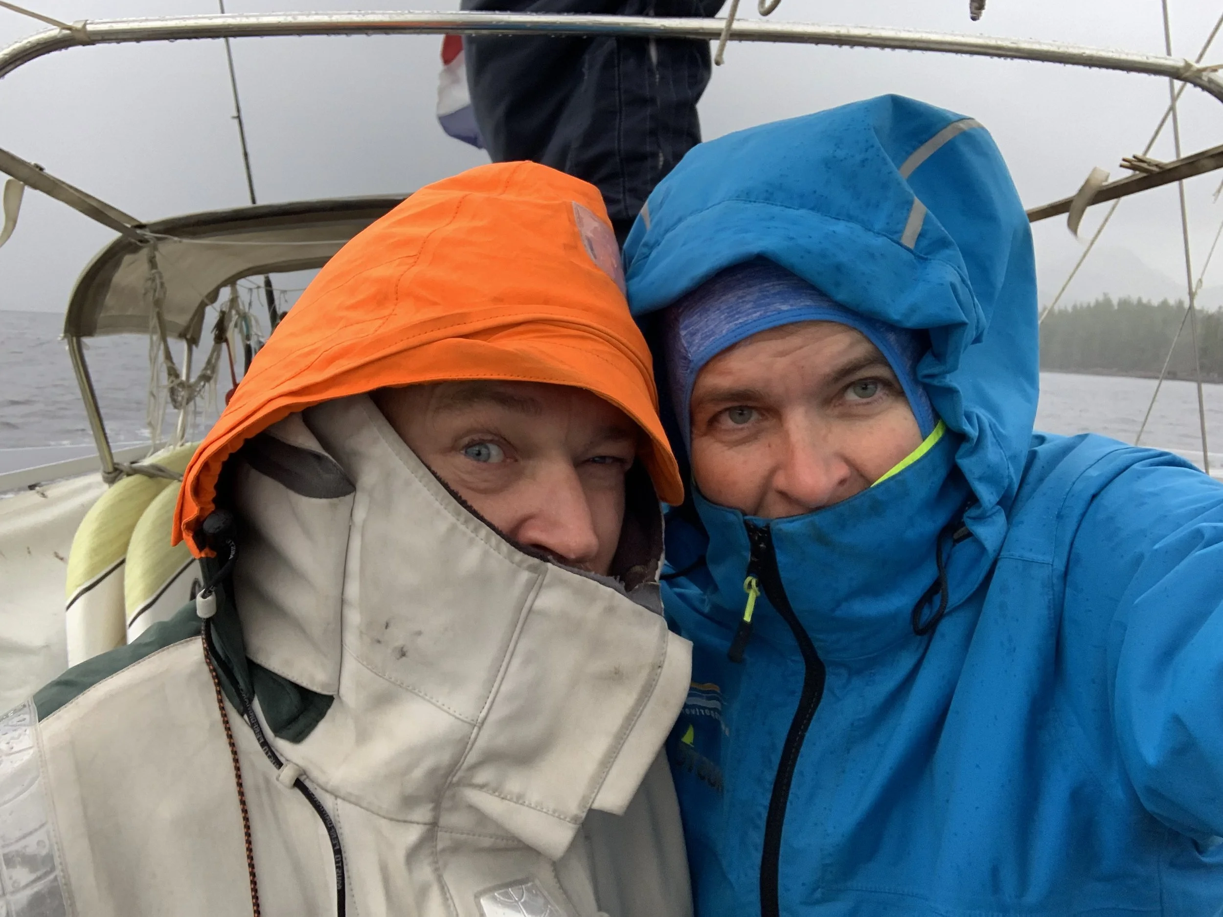 COLORS IN A GRAY WORLD