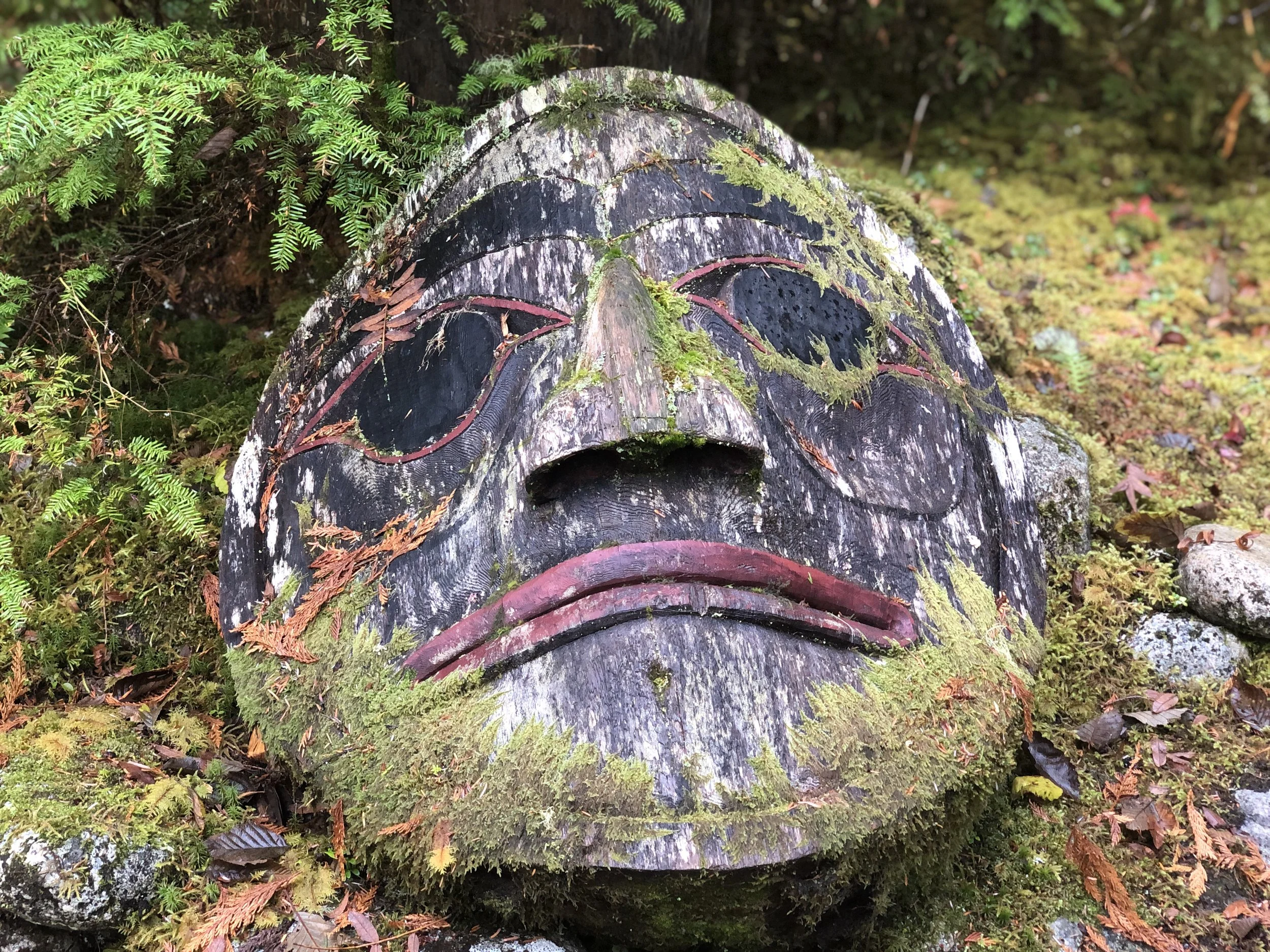 FROM THE EARTH - BACK TO THE EARTH