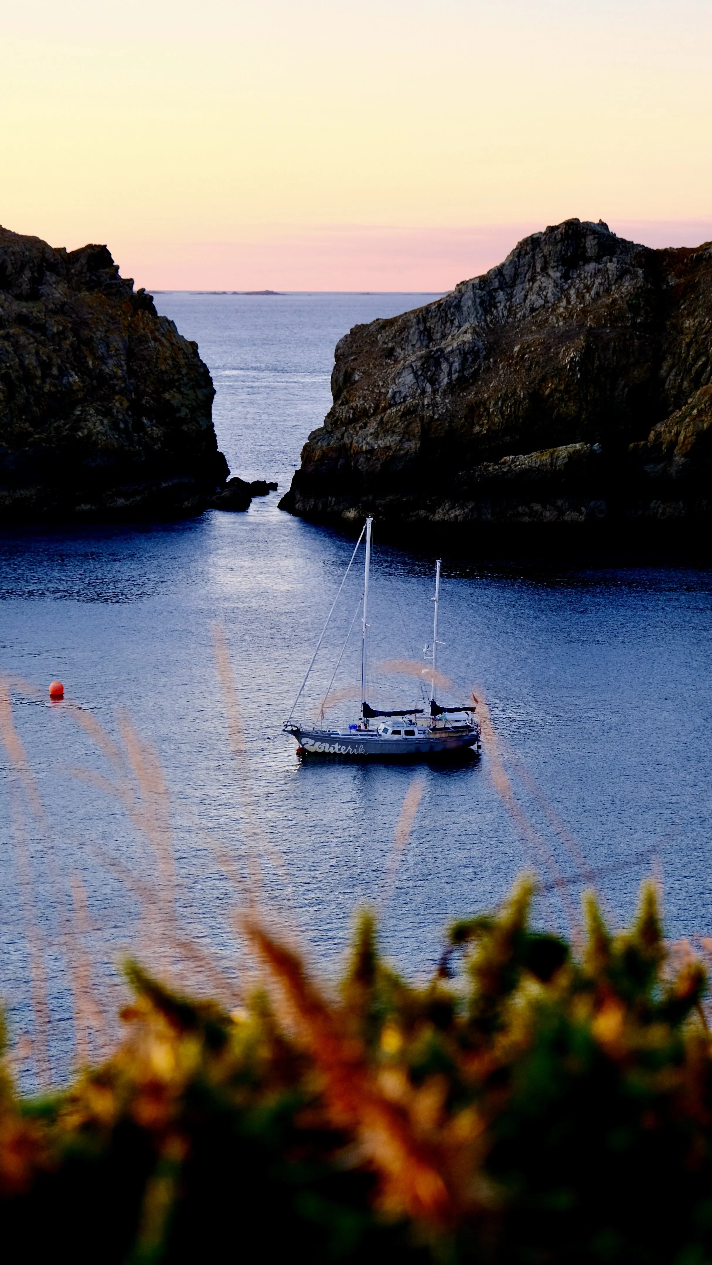 Zouterik op Sark, Kanaaleilanden.jpeg