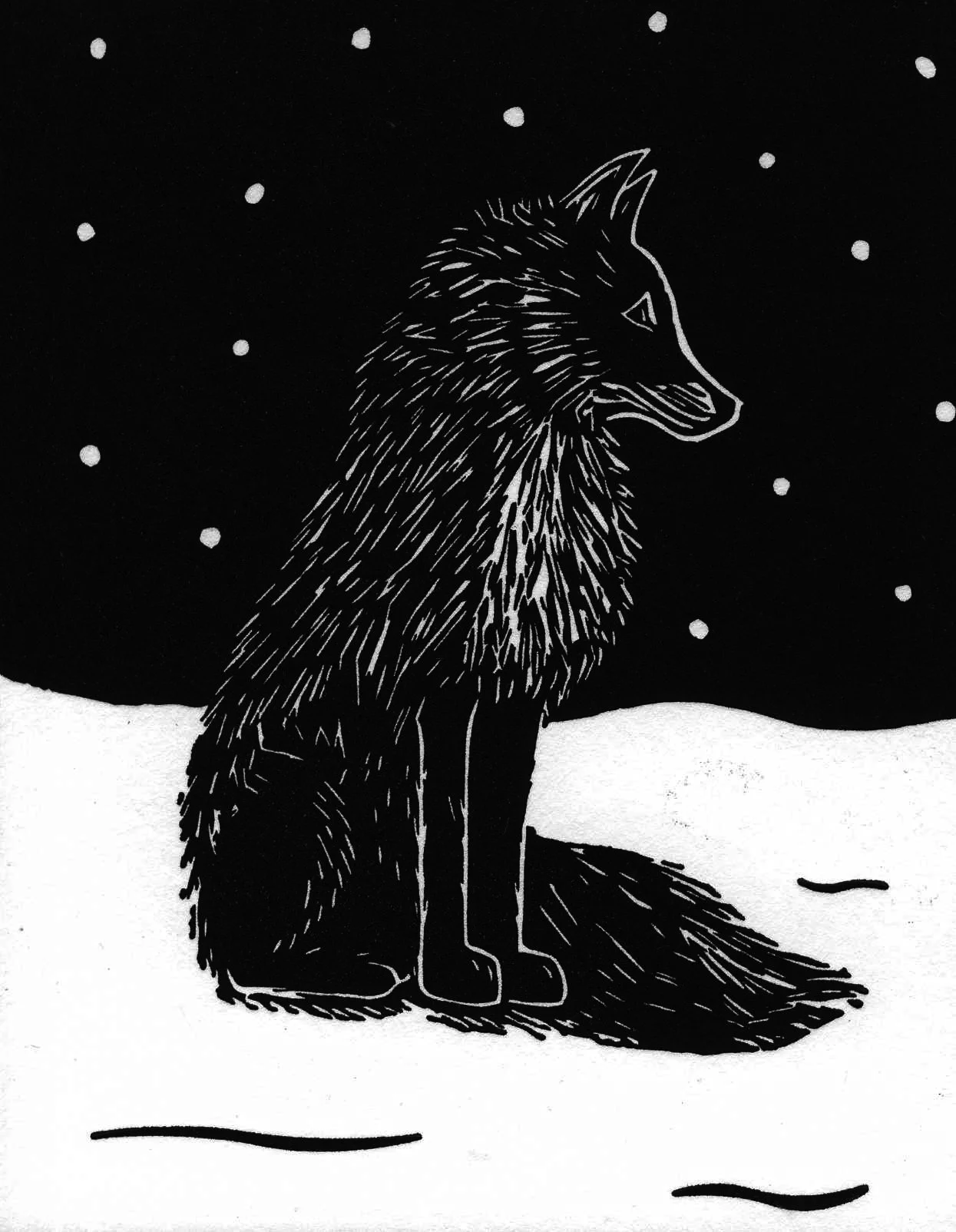 fox038.jpg