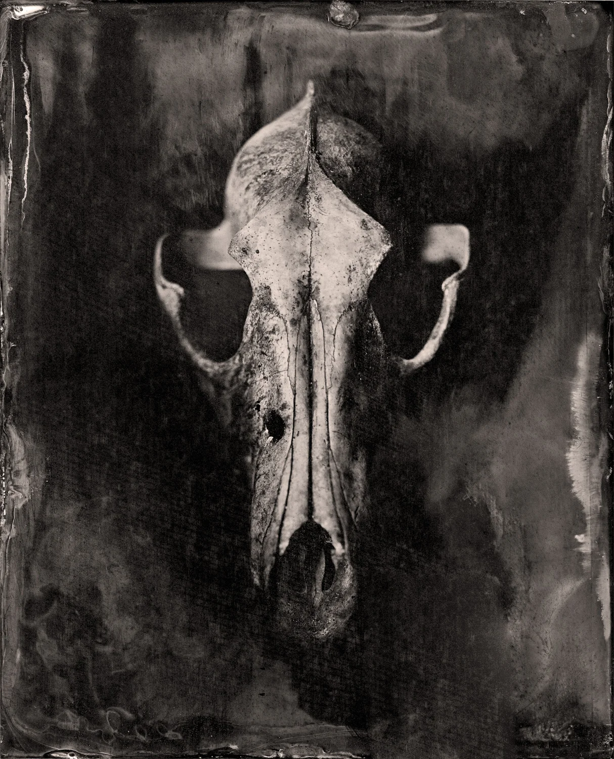 workshop-tintype-Nathan-Lomas-StillLife001-NL.jpg