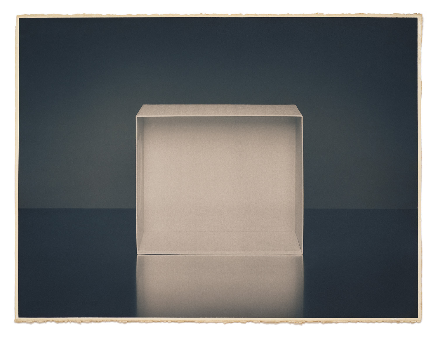 ,"Prada" 2015 - 22x30 Inch Toned Cyanotype by Max Kellenberger