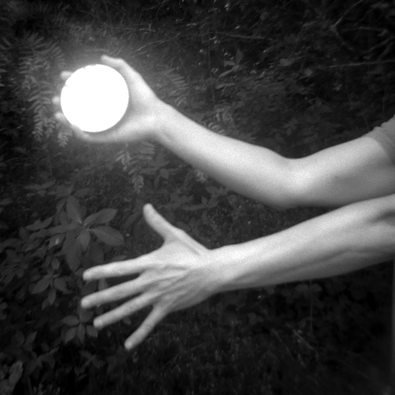 ©Lisa Lindamood
