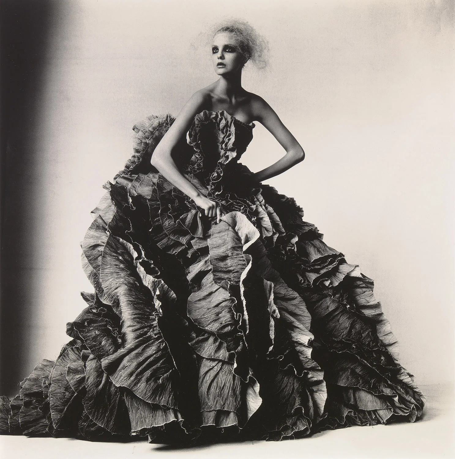 Irving Penn, Ball Dress by Olivier Theyskens for Nina Ricci, New York, 2007, Smithsonian American Art Museum, Gift of The Irving Penn Foundation. Copyright © Condé Nast