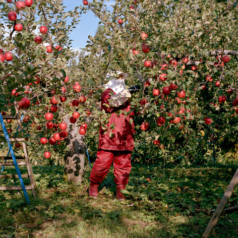 "Harvest #22” © Hiroyo Kaneko