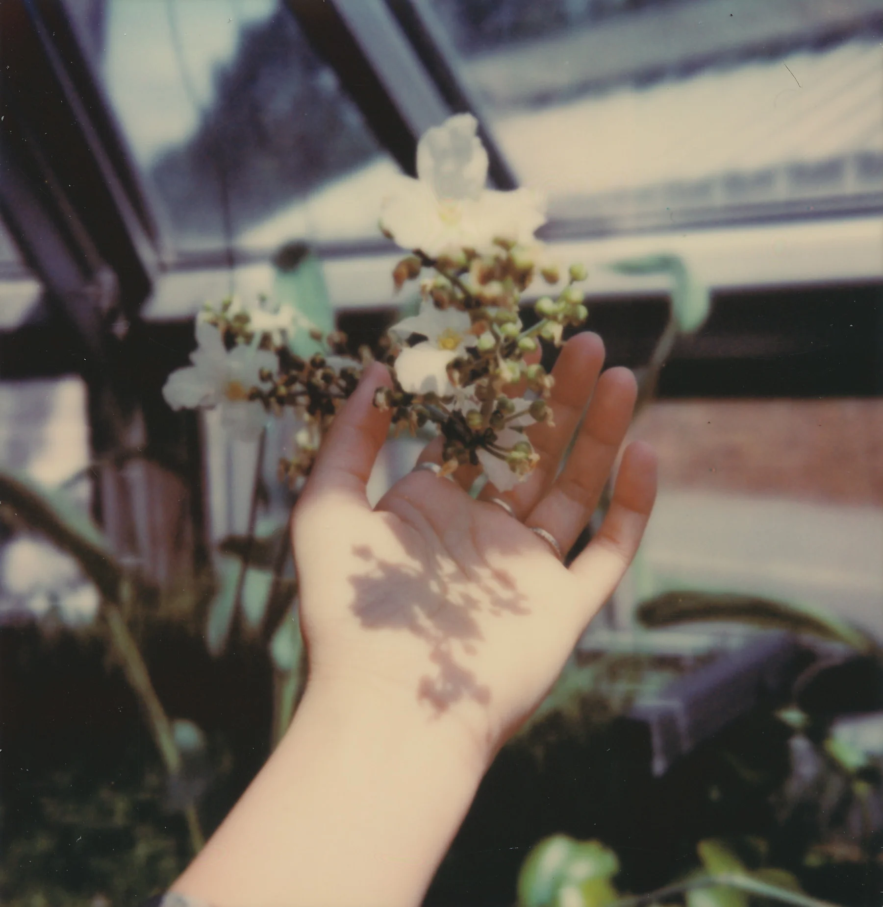 © Leanne Surfleet
