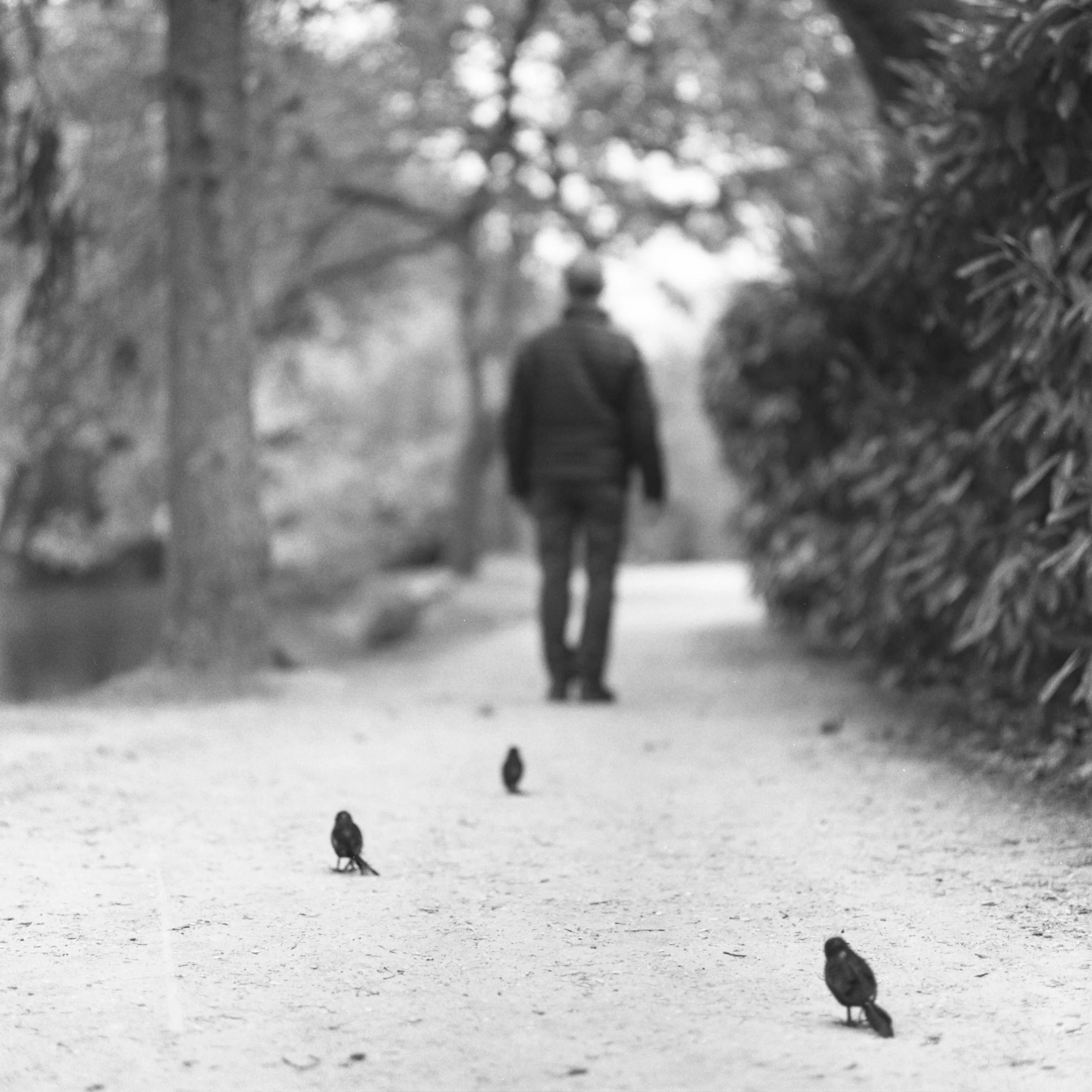 © Anne Silver