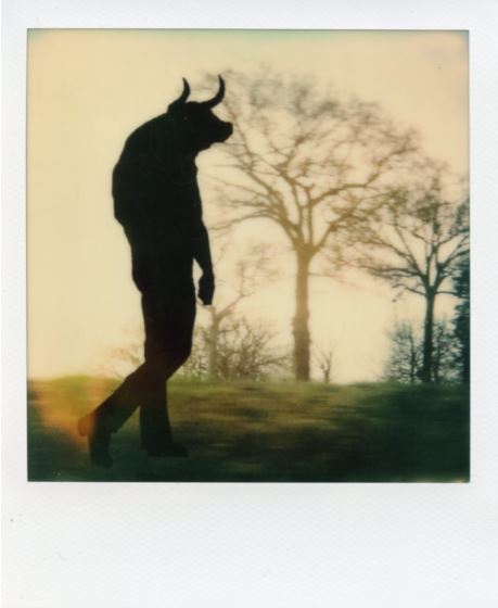© Alan Marcheselli