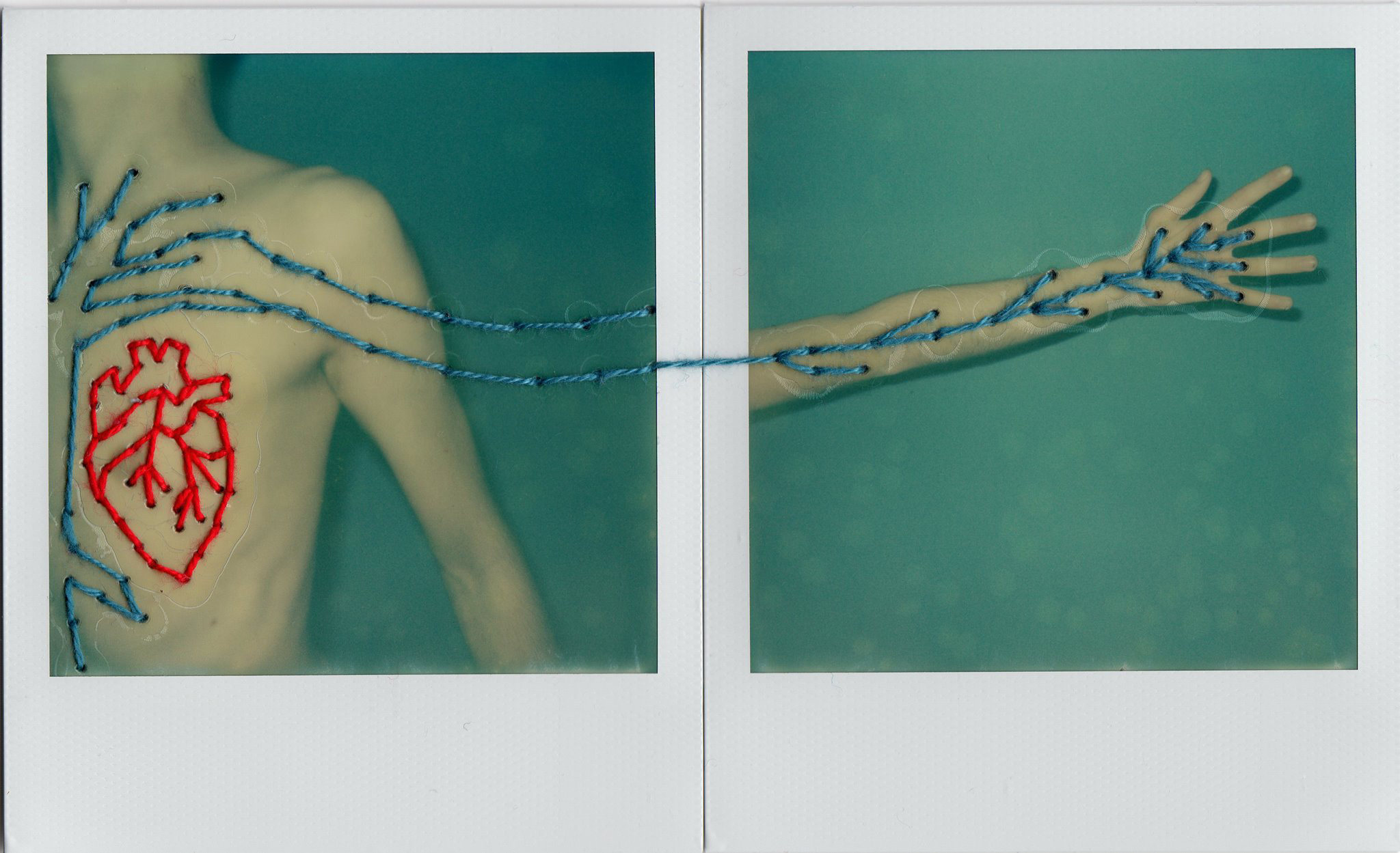 © Sofie Bucci