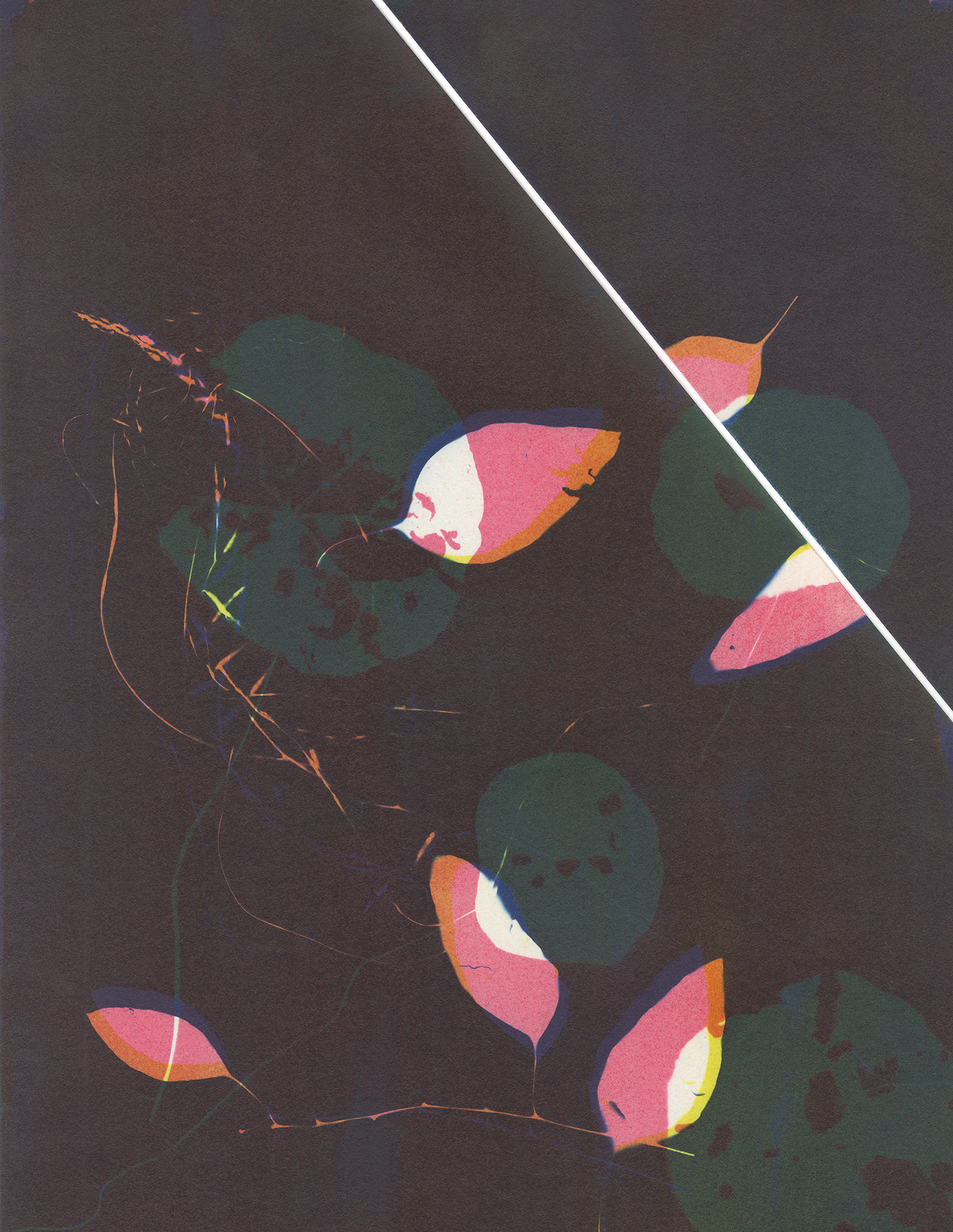 “Night Garden” from the series Shibui
