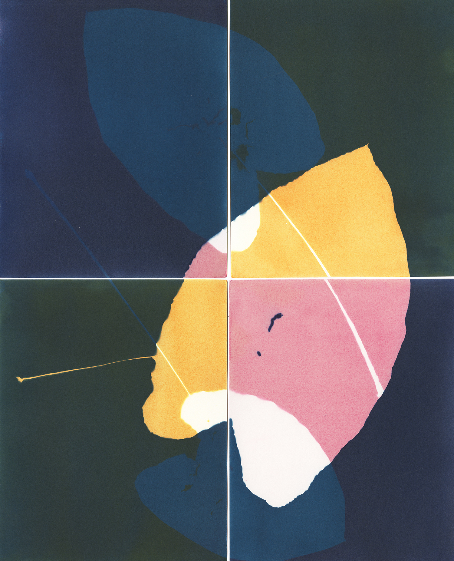 “Indigo Dreams” from the series Shibui