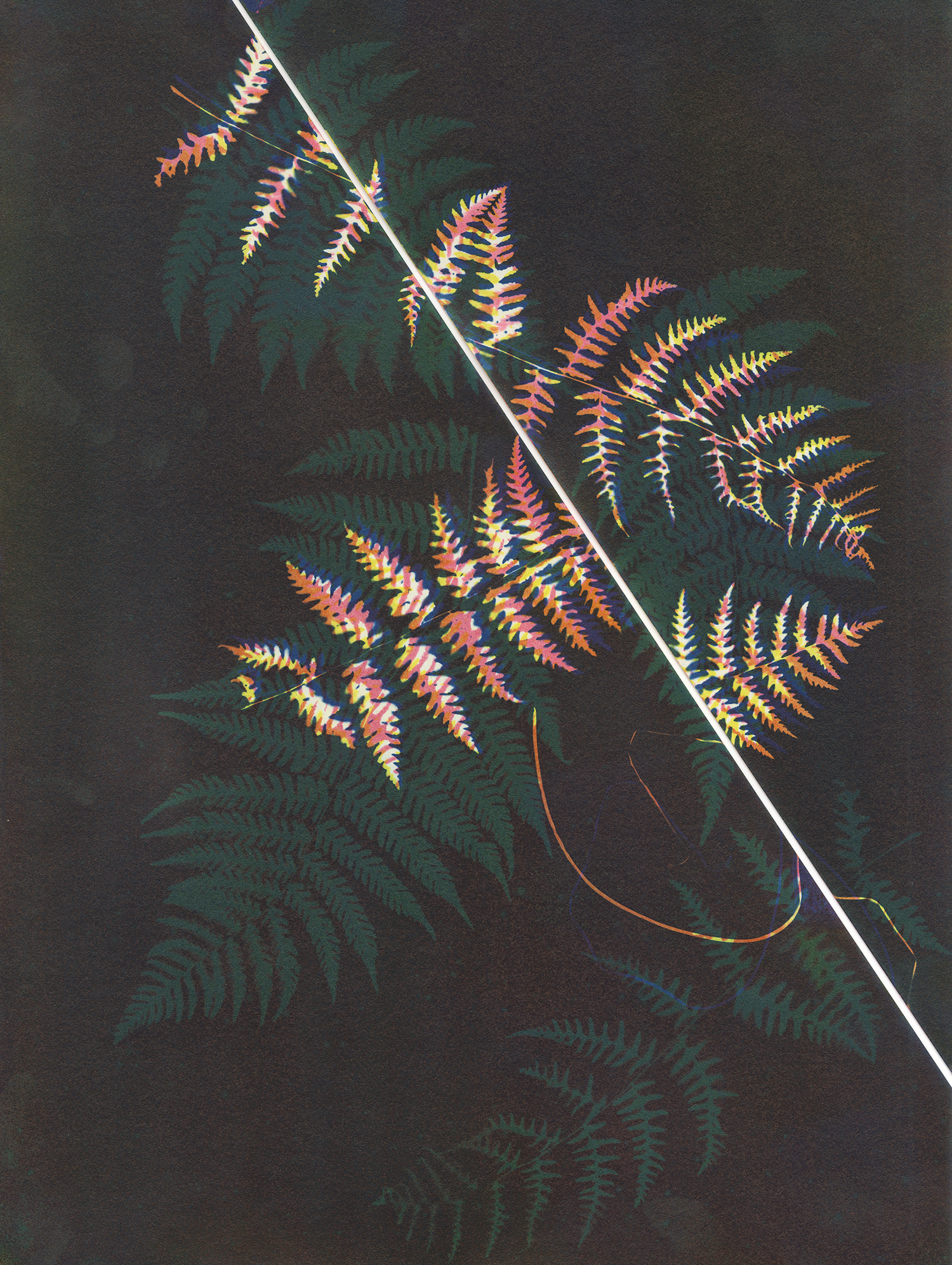 “Beneath Her Feet” from the series Shibui