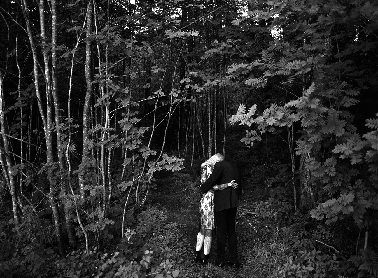 Russell Joslin, Towards the Forest, 2017