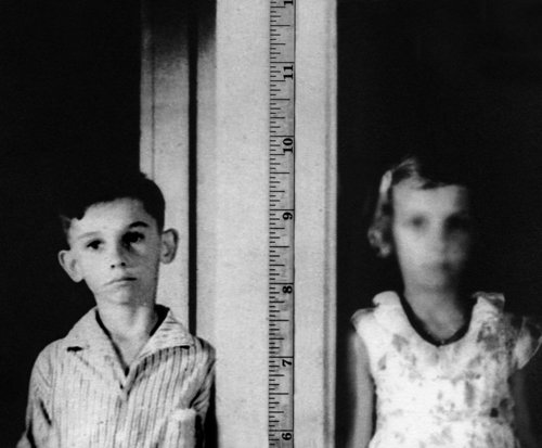 © Carla Shapiro