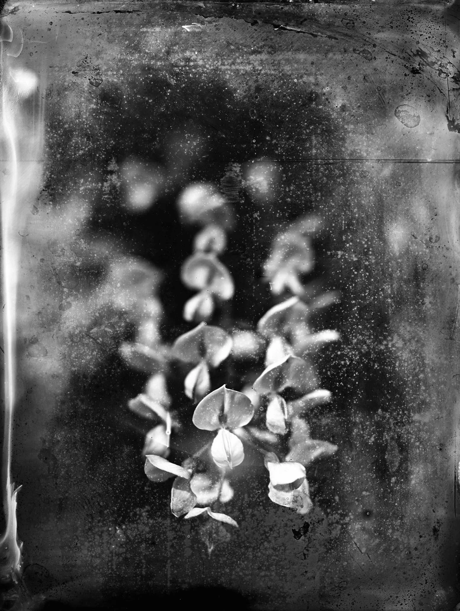 Online Group Exhibition -