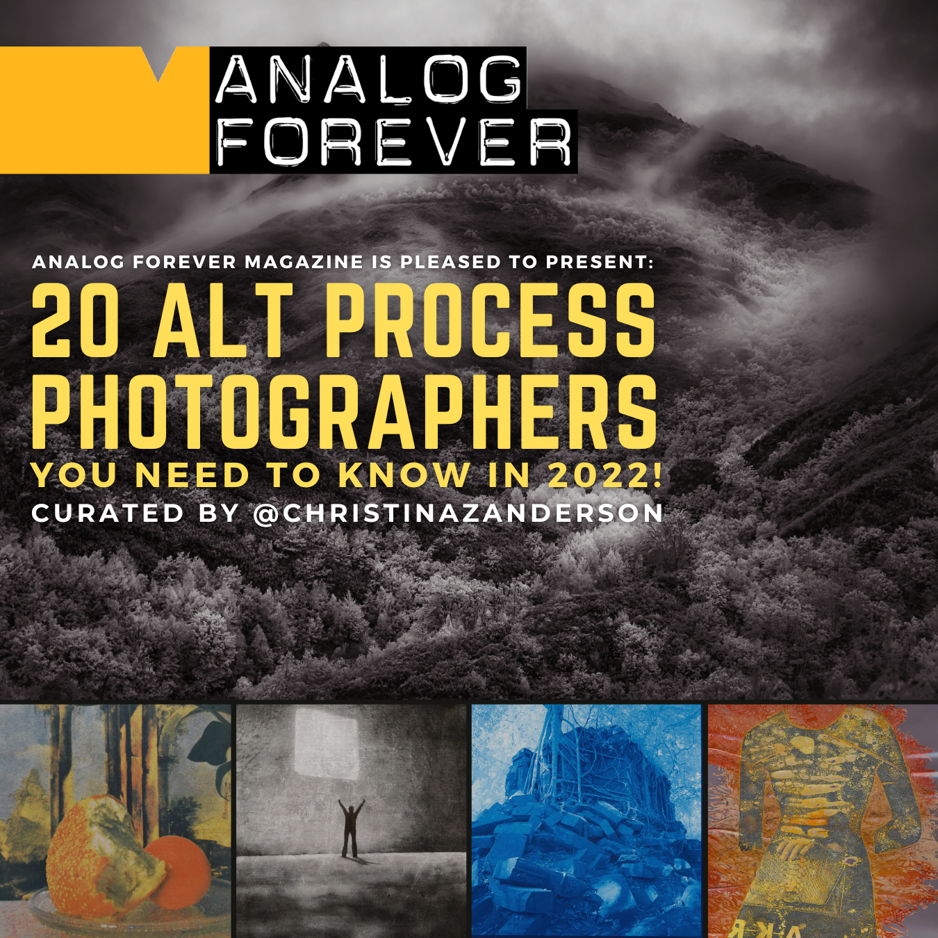 Twenty Alternative Process Photographers You Need to Know
