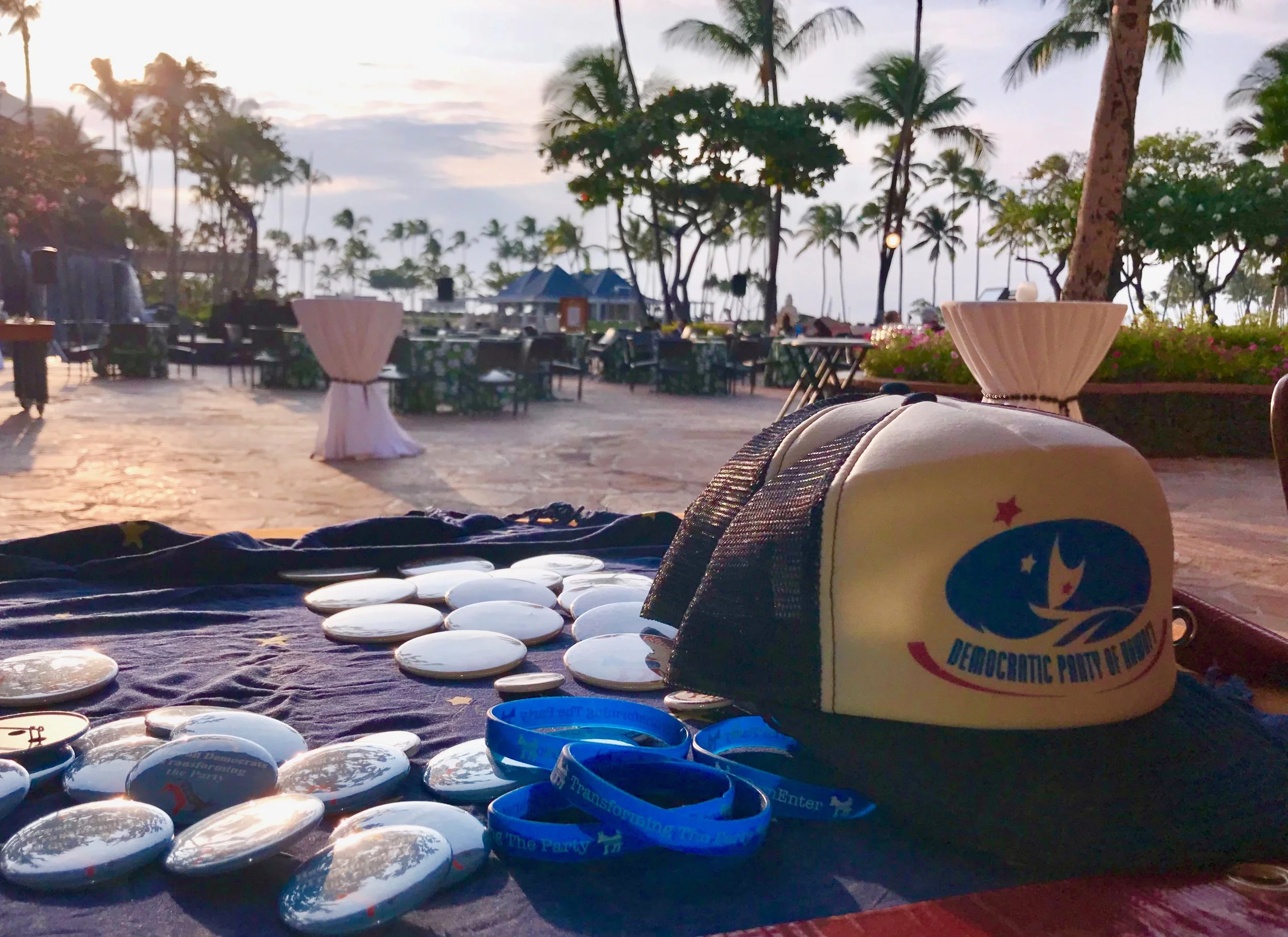 Swag from the 2018 State Convention, held for the first time ever on Hawai'i Island. A historic convention!