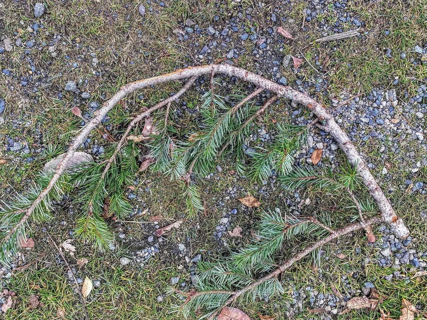 Quality of Attention: transcending those inevitable distortions of experience