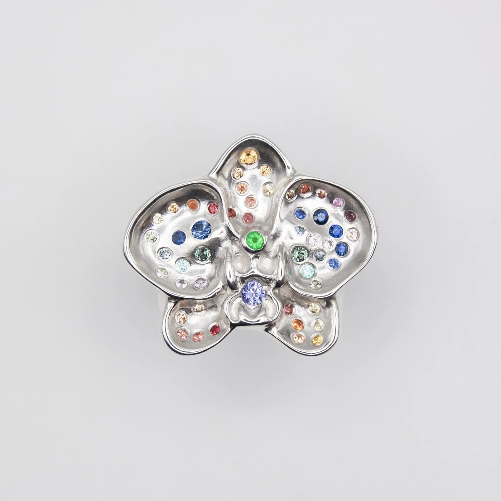 DSC_0956_1.jpg