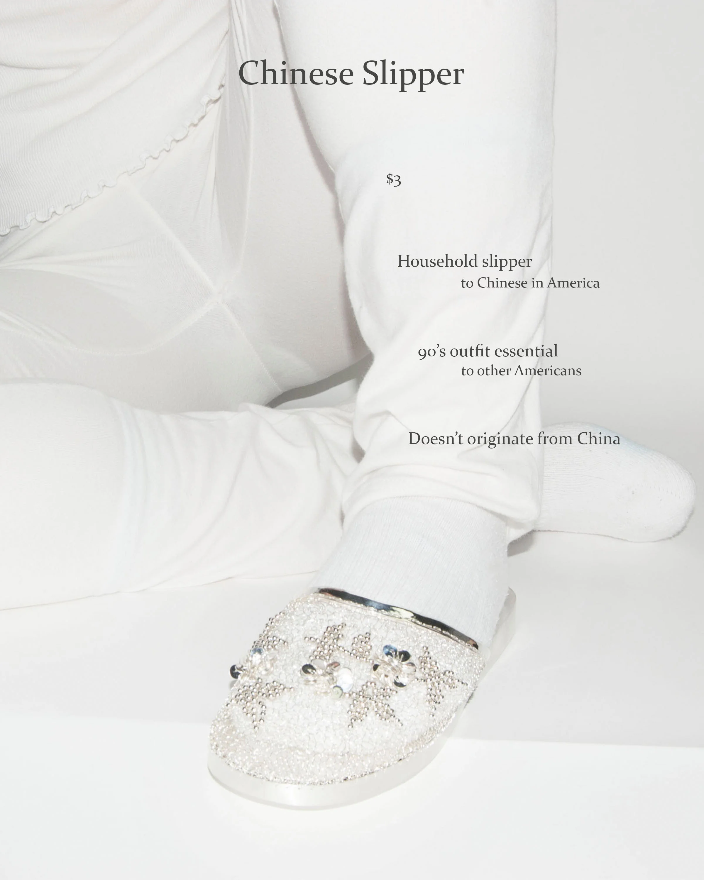 9 slipper 1.jpg