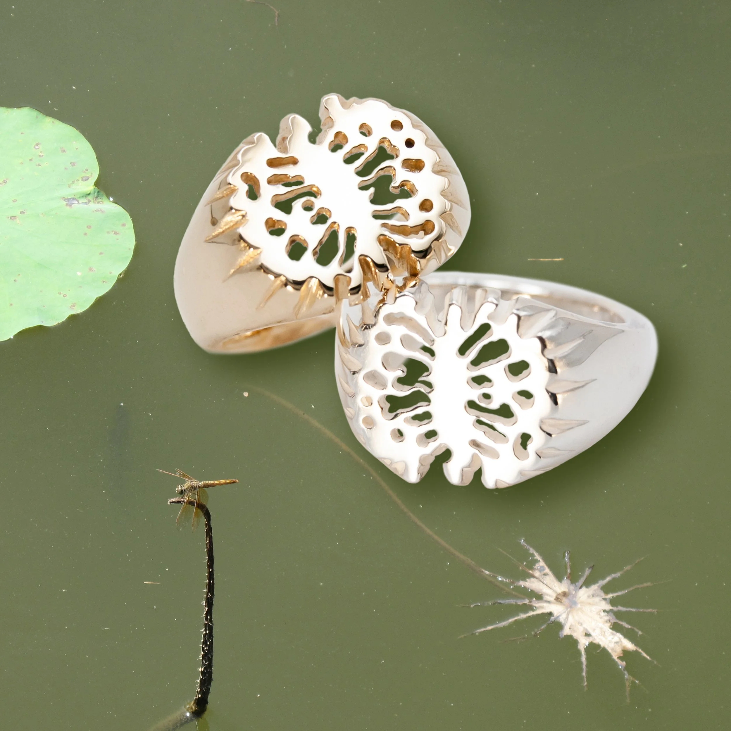 Decaying Lotus Pad Signet