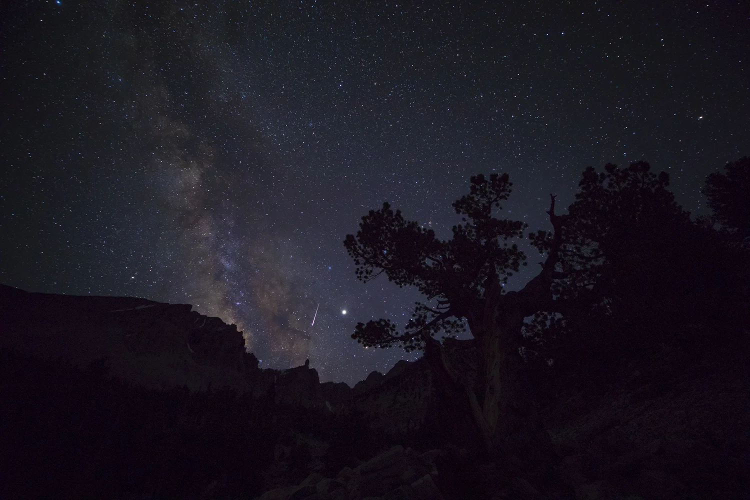A meteor streaks past Jupiter and the Milky Way in the center of the frame. This is one frame, entirely unprocessed. The final product will show the details of the mountains and the Bristlecone Pine in the foreground, in addition to revealing sharper detail in the night sky.