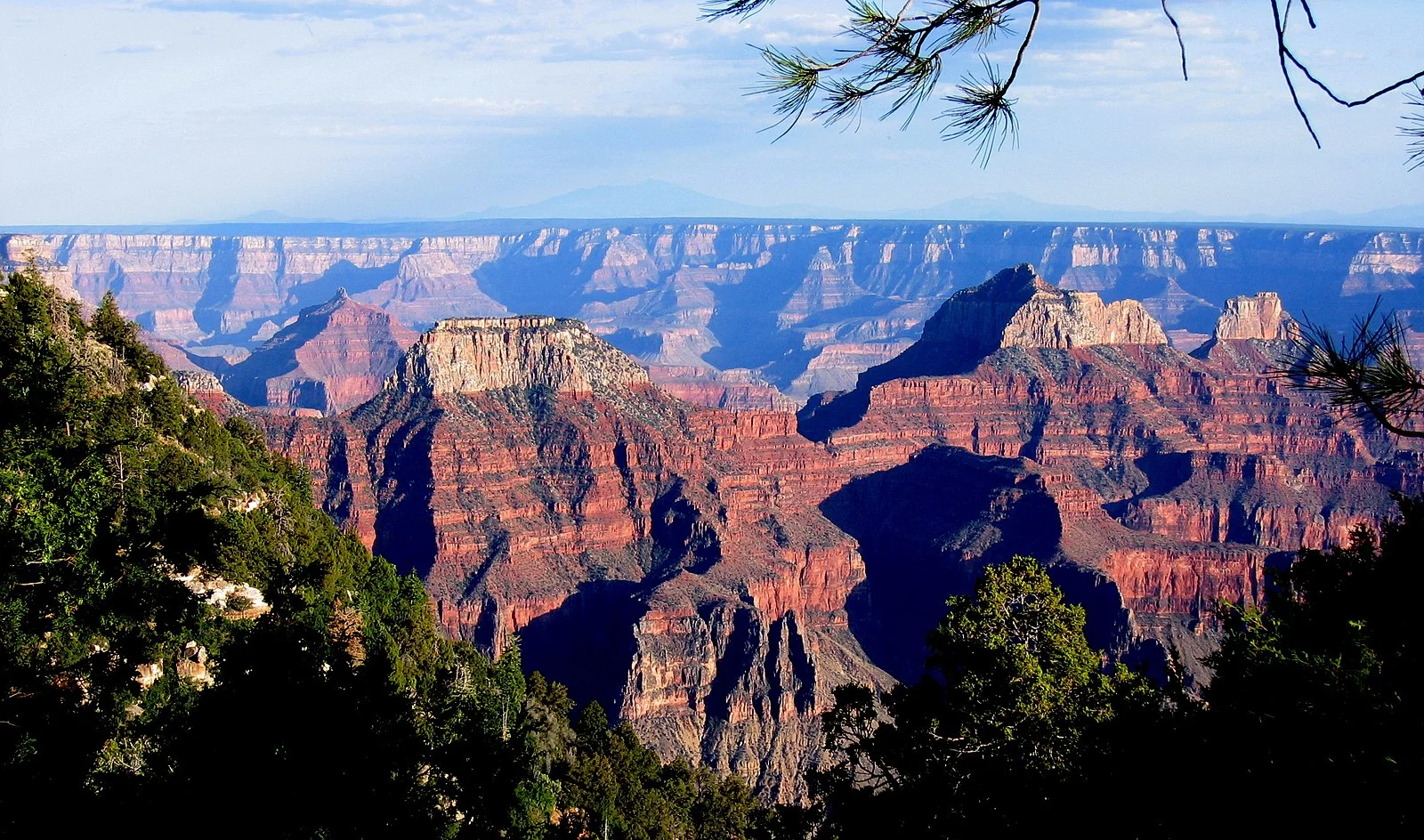 1600px-Grand_Canyon_from_North_Rim_Trail_by_Evening_Light_by_Erik_Voss_IMG_3783.jpg