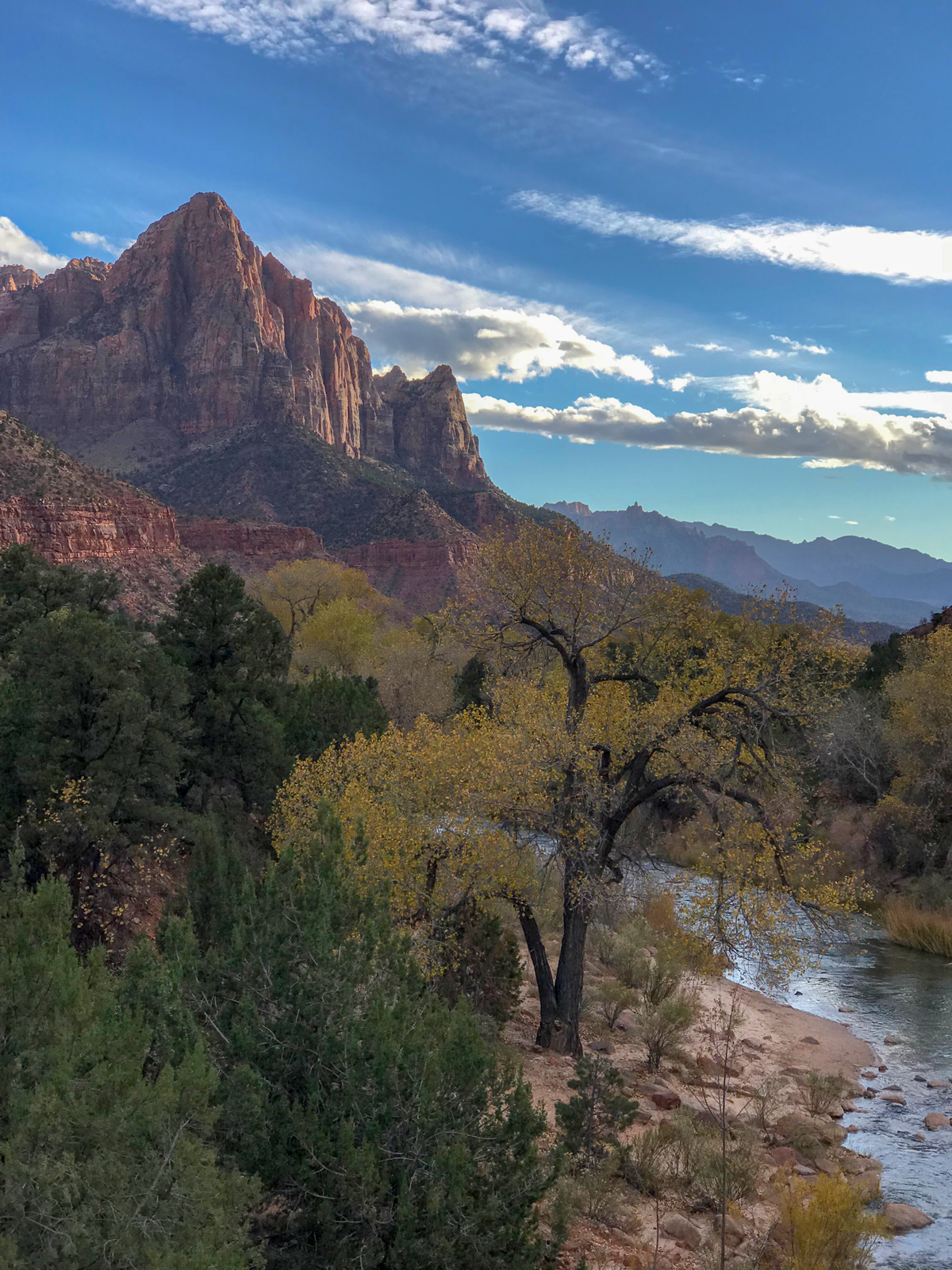boho_vans_zion_park.png