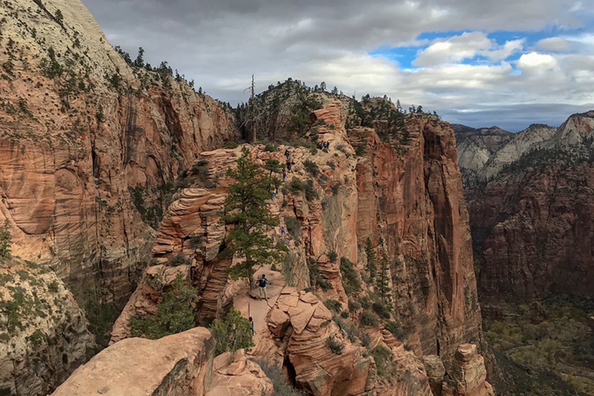 bohovans-zion.jpg