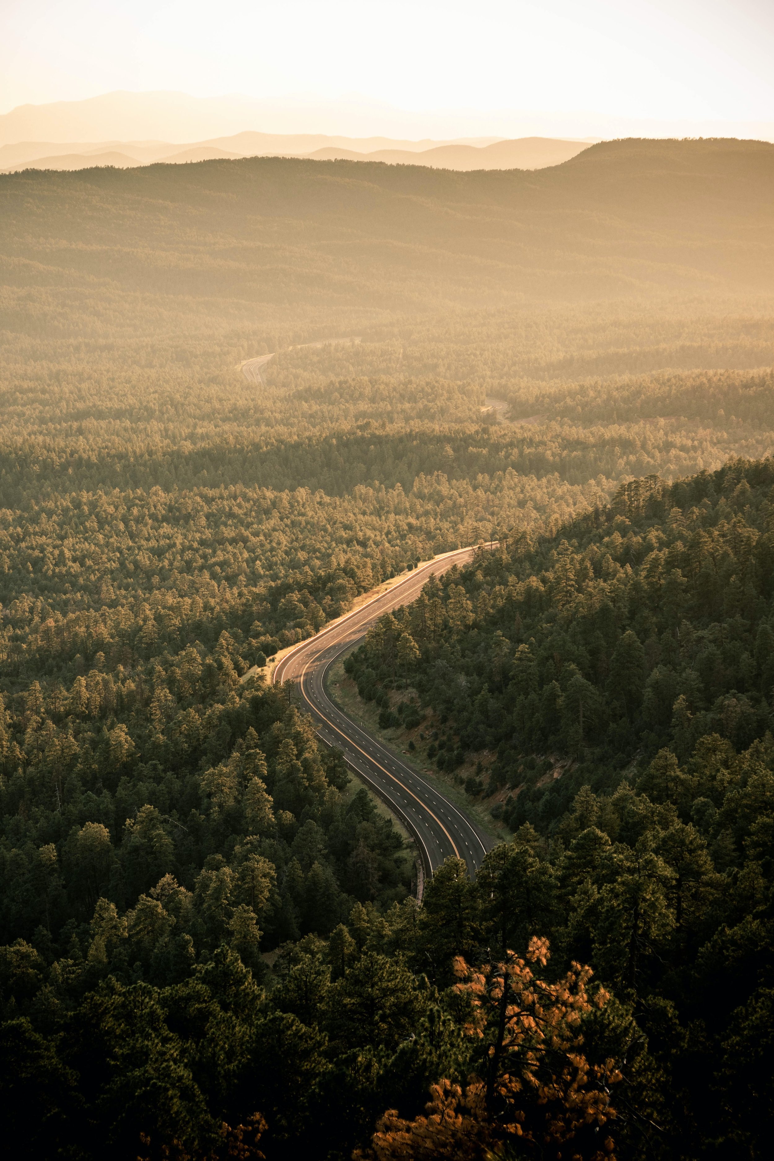 harrison-hargrave-Tmev9UoX00M-unsplash.jpg
