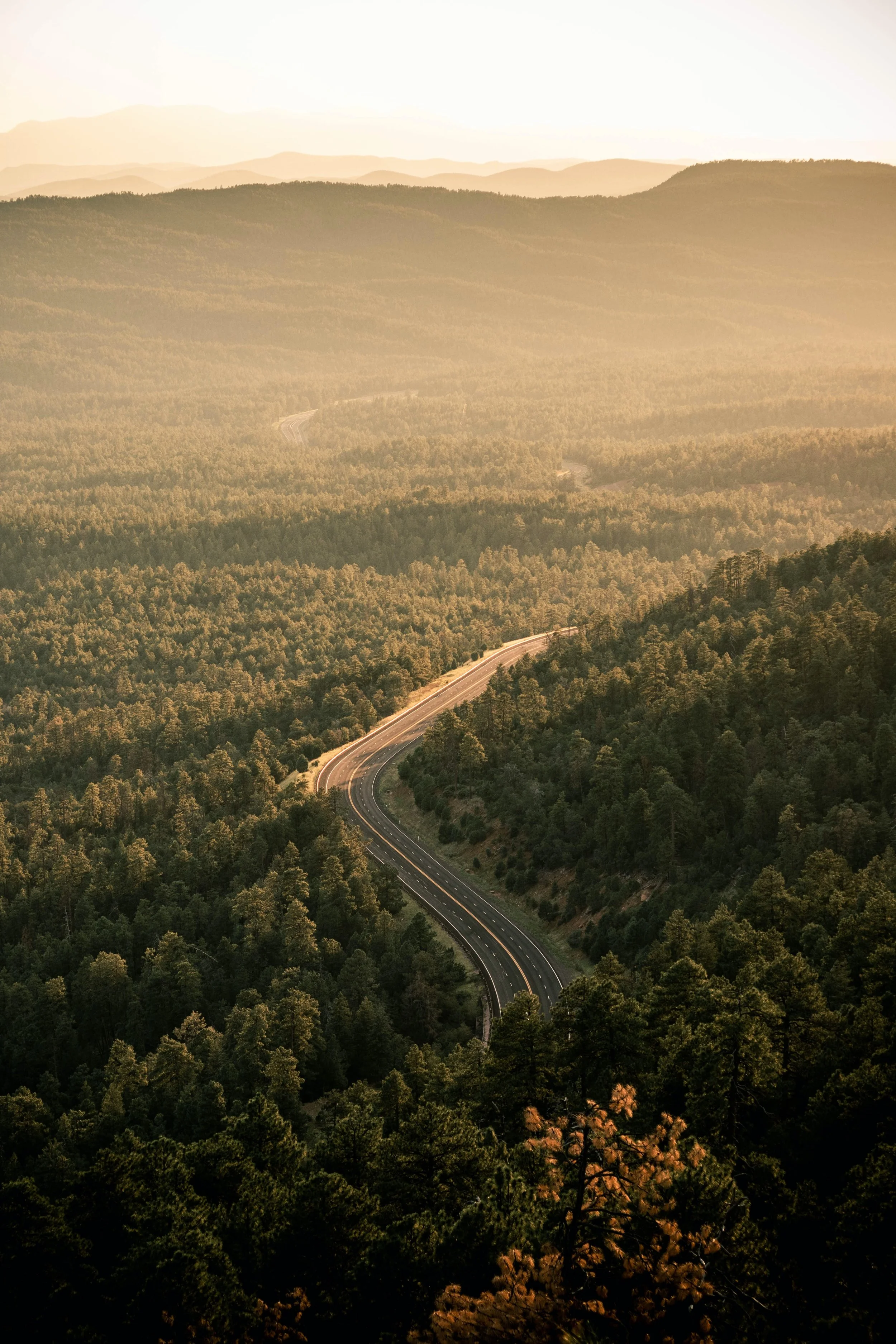 harrison-hargrave-Tmev9UoX00M-unsplash.jpg