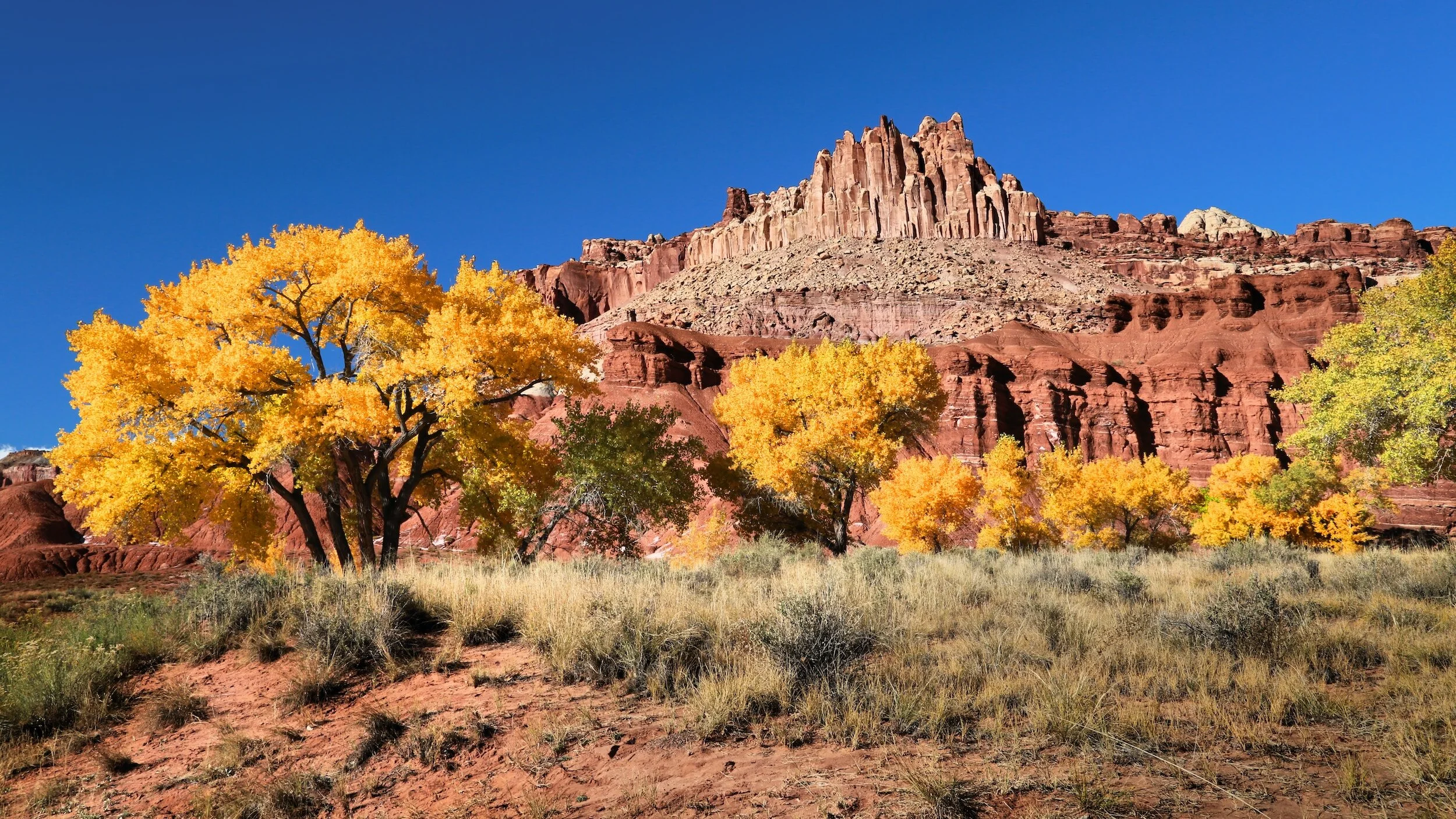 5 Arizona Destinations for Fall Colors