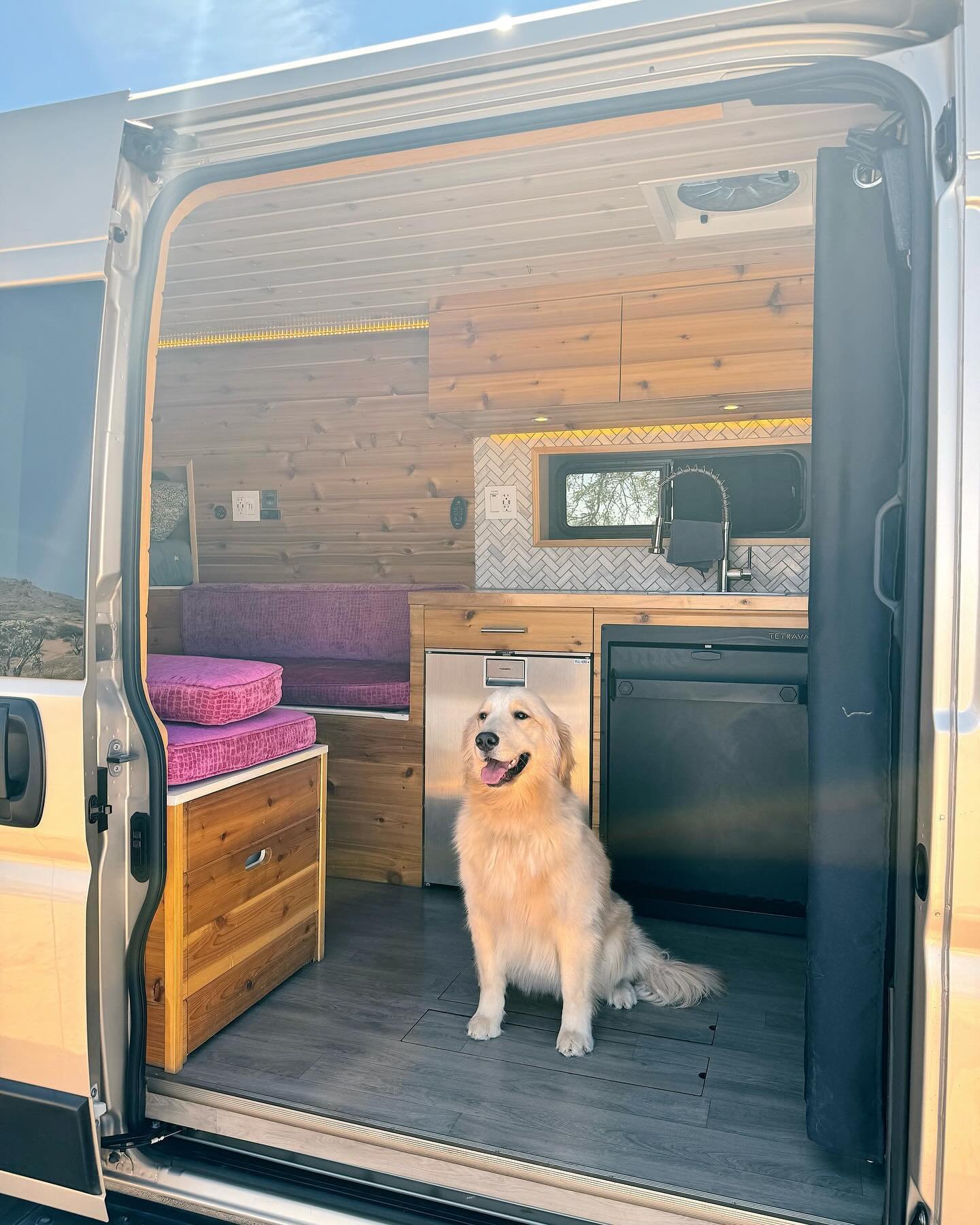 Did you know⁉️No need to board your furry friends when you go on a roadtrip with us: All our vans are pet-friendly (requires an extra cleaning fee, but worth it!) 🐶🚐 #petfriendly #vacationideas