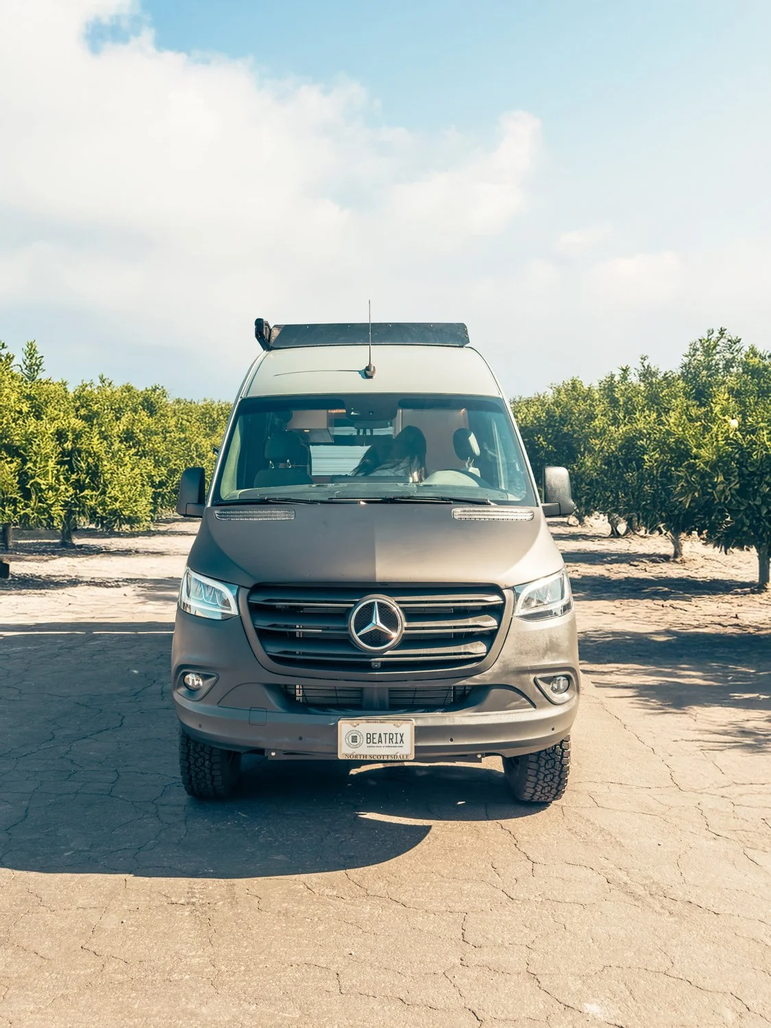 49-boho-camper-vans-mercedes-benz-sprinter-beatrix.jpg