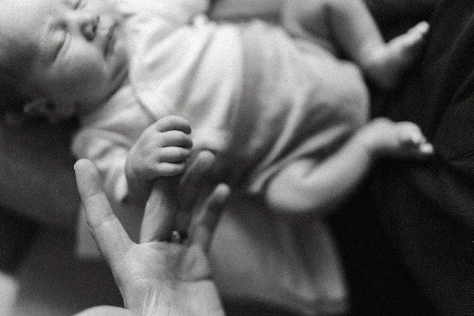 Welcome Gerhard-131_websize.jpg