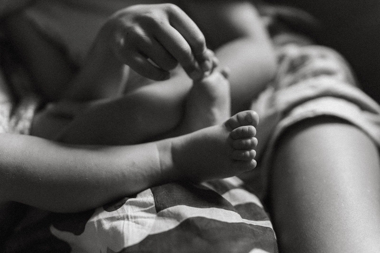 The Conradies 2025-22_websize.jpg