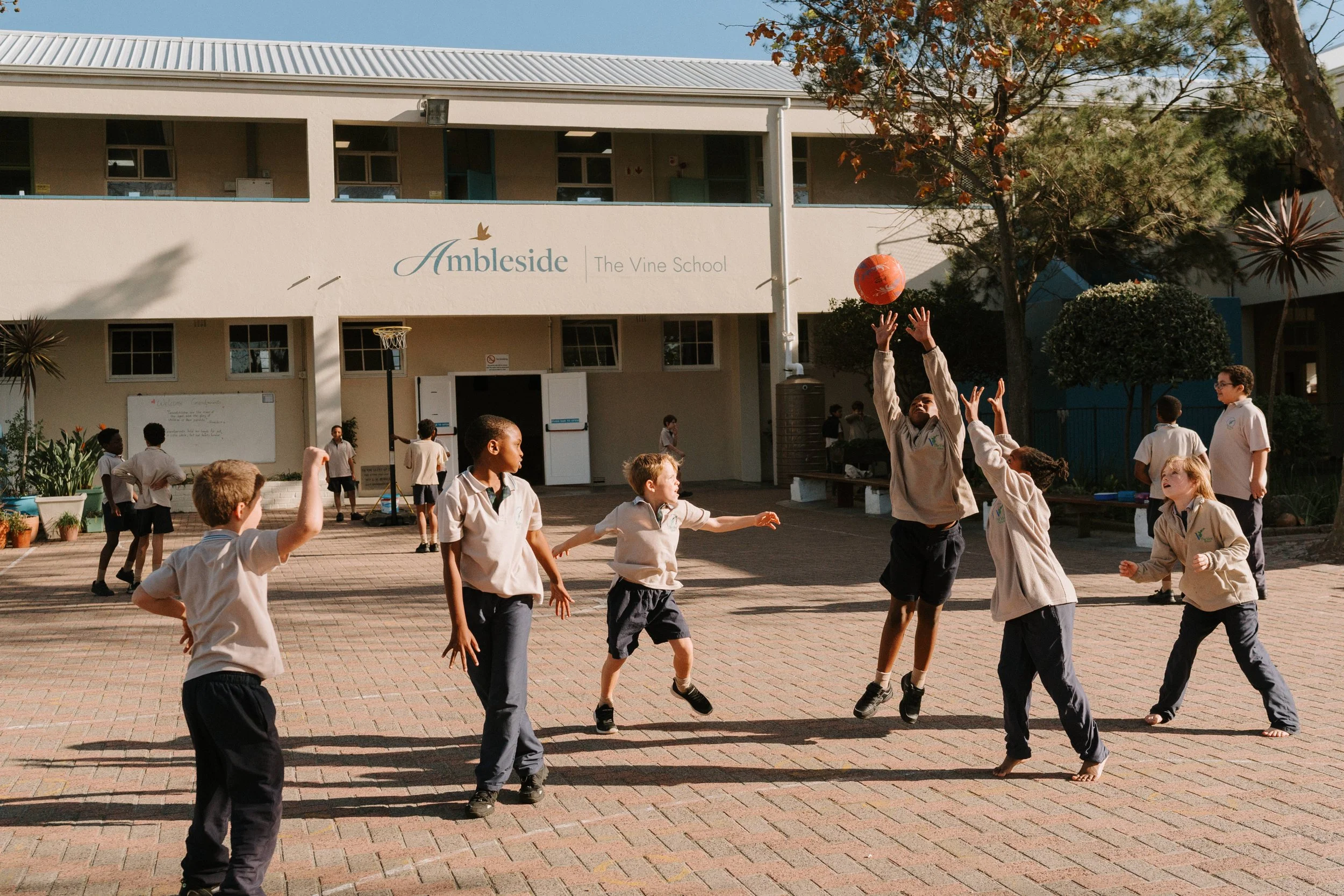 The Vine School 116.jpg