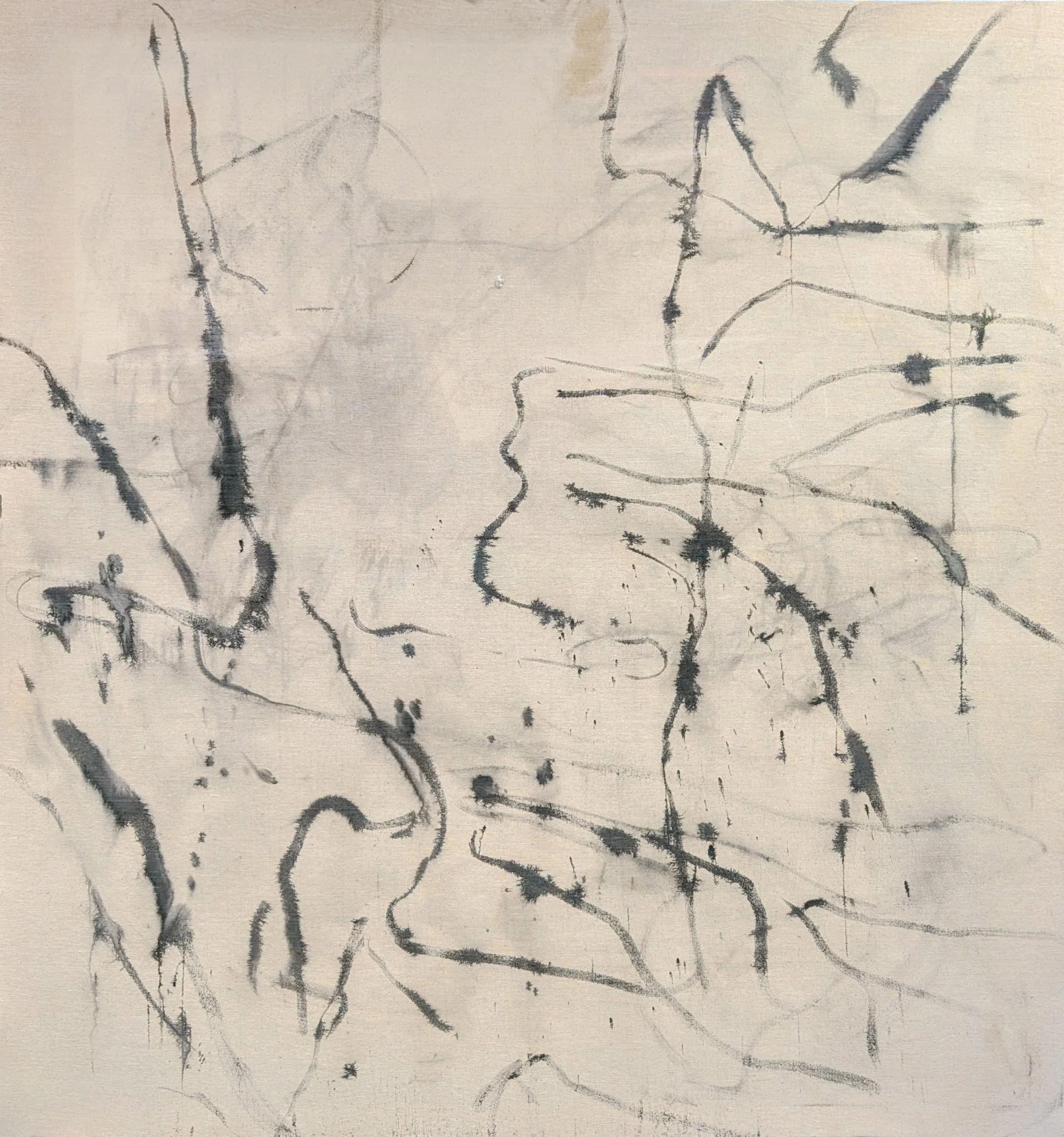 PXL_20251030_1227470811.MP~2 copy.jpg