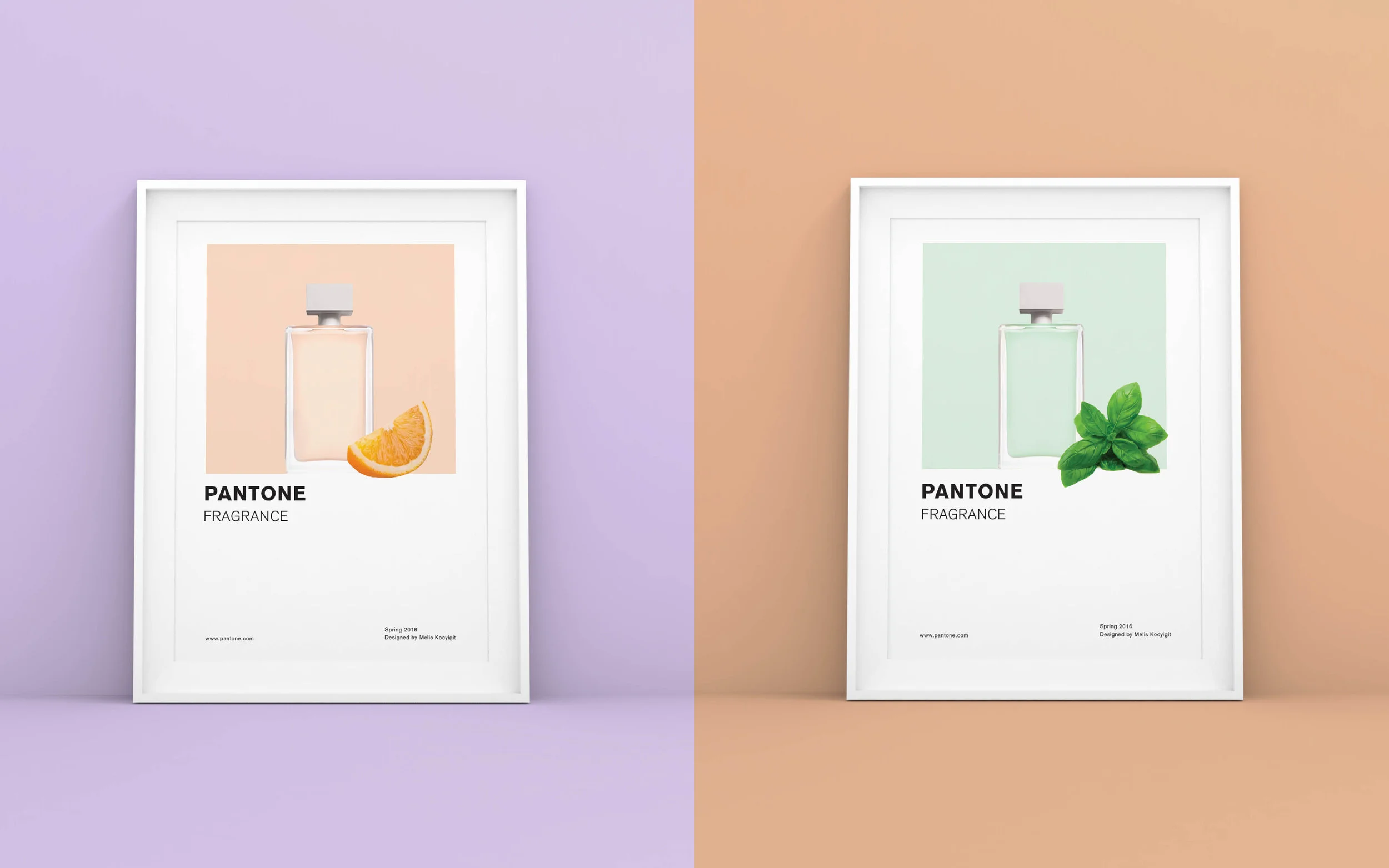 pantone_frag duplicate.jpg