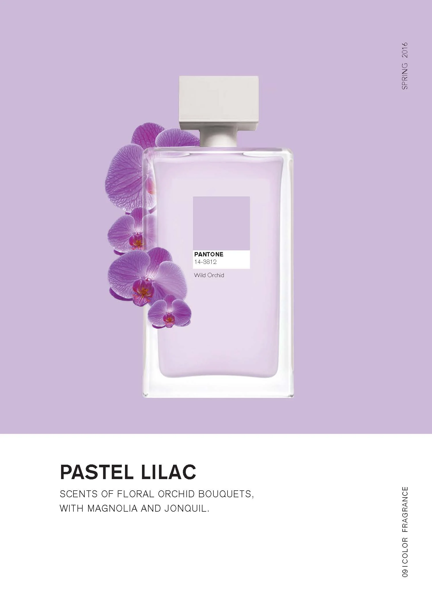 Pantone_booklet 19.jpg