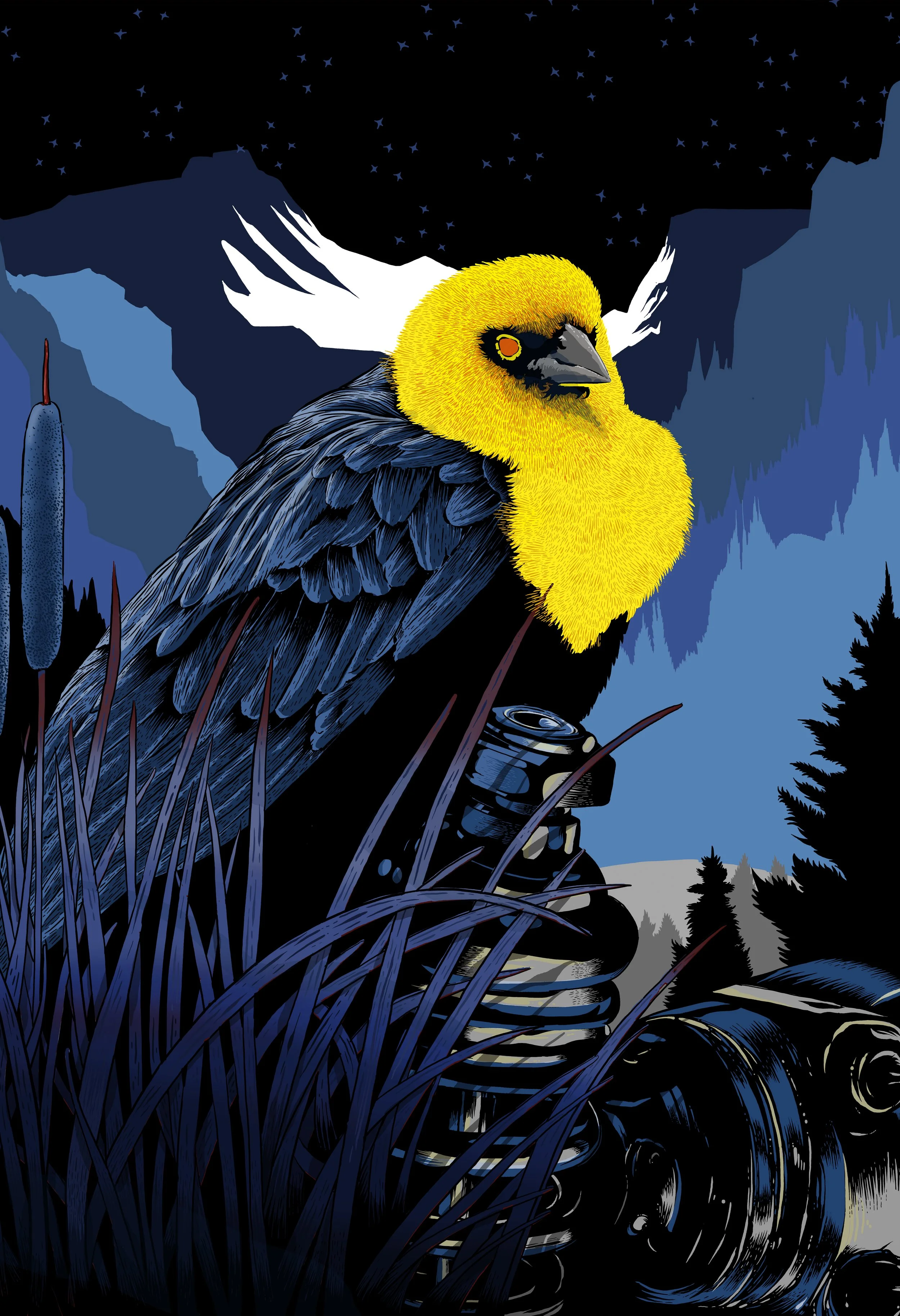 YELLOWHEAD 13x19.jpg
