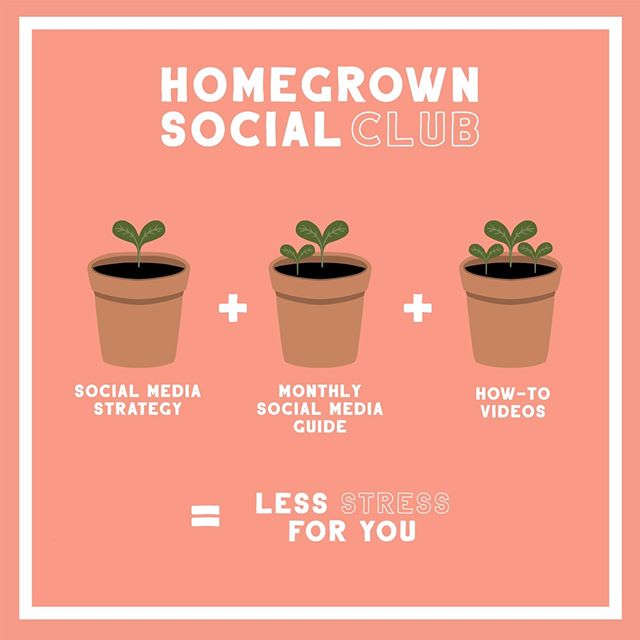 As a small business owner, you've got a lot on your plate. You're also trying to stick to a budget. Don't let social media add stress to your to-do list, join the Homegrown Social Club instead! ⁠
⁠
The Homegrown Social Club is affordable social media