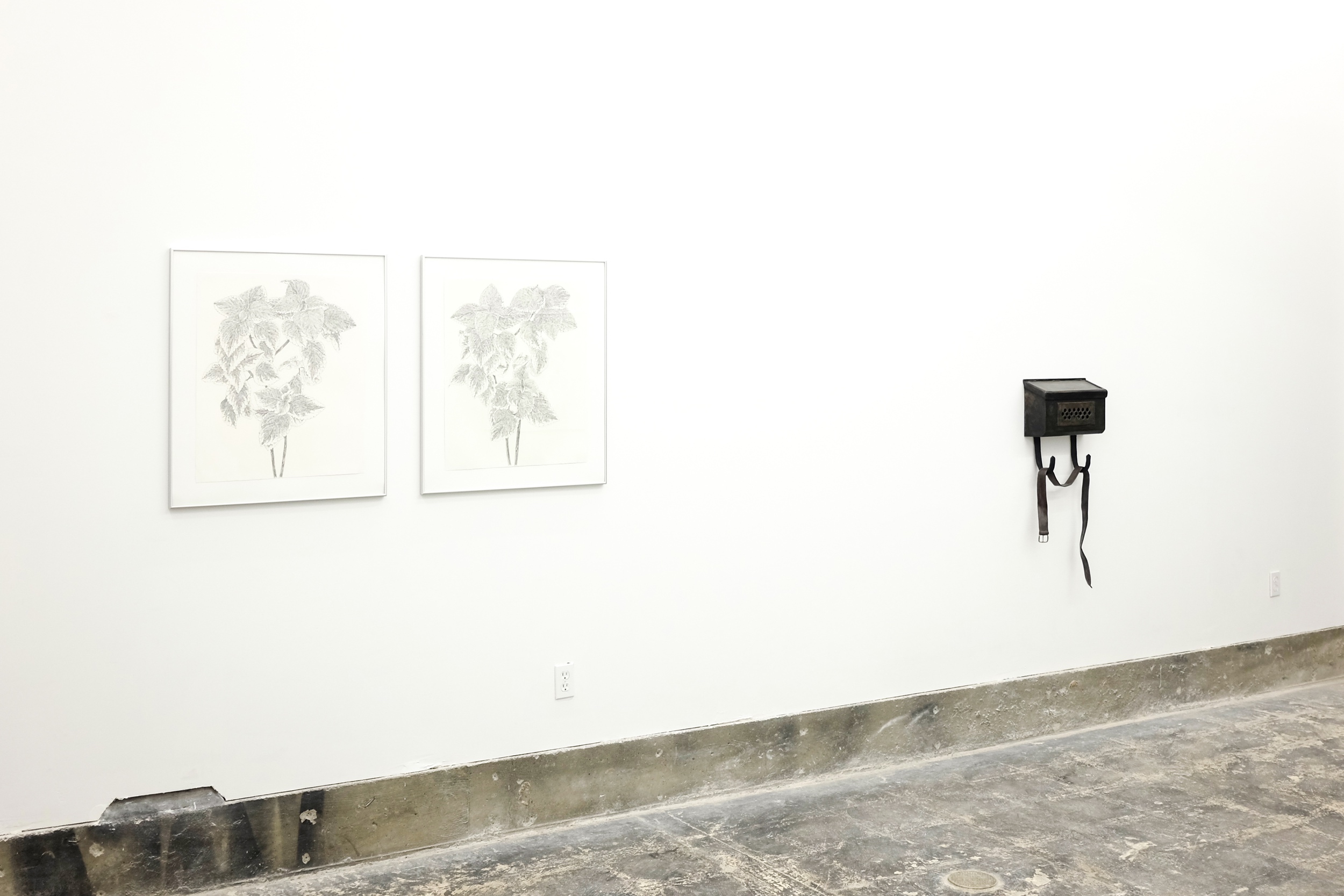  Installation view 