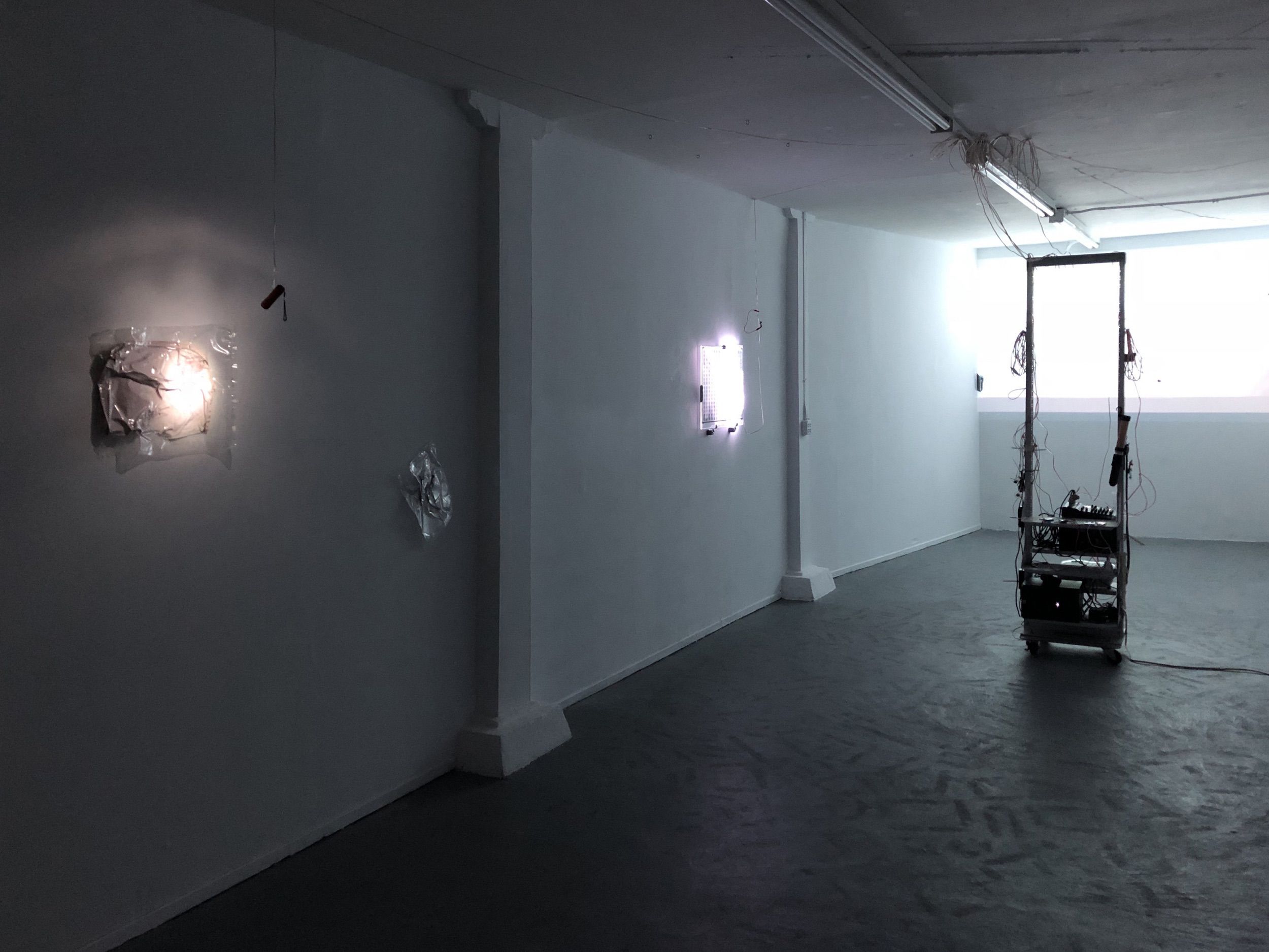 Installation view