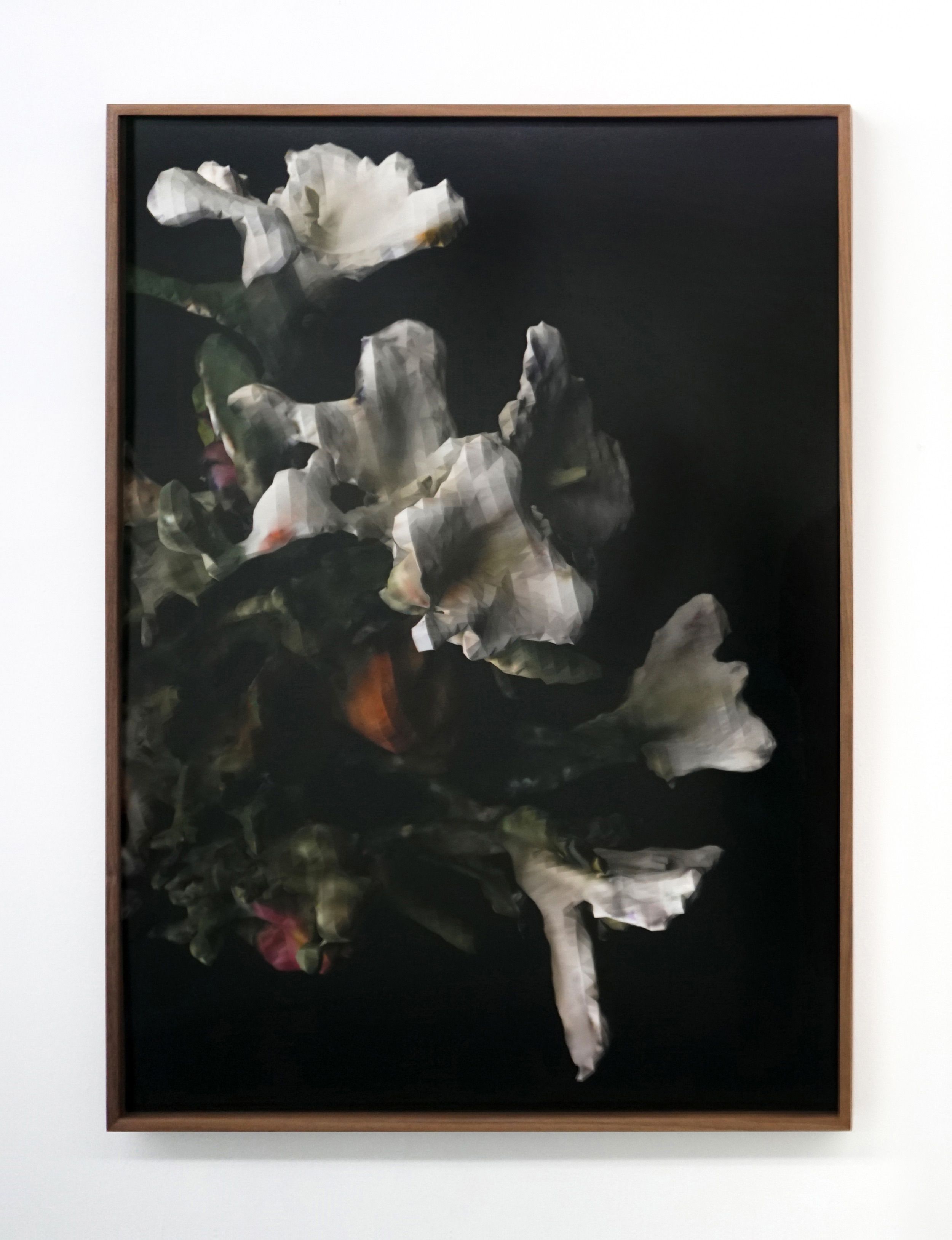  Rhonda Holberton  Lilium Candidum, Rosa ‘Madame A. Meilland’, Alstroemeria (Night I) , 2018 Framed inkjet print 39 x 28 inches Edition of 1 of 3 + 2 AP 