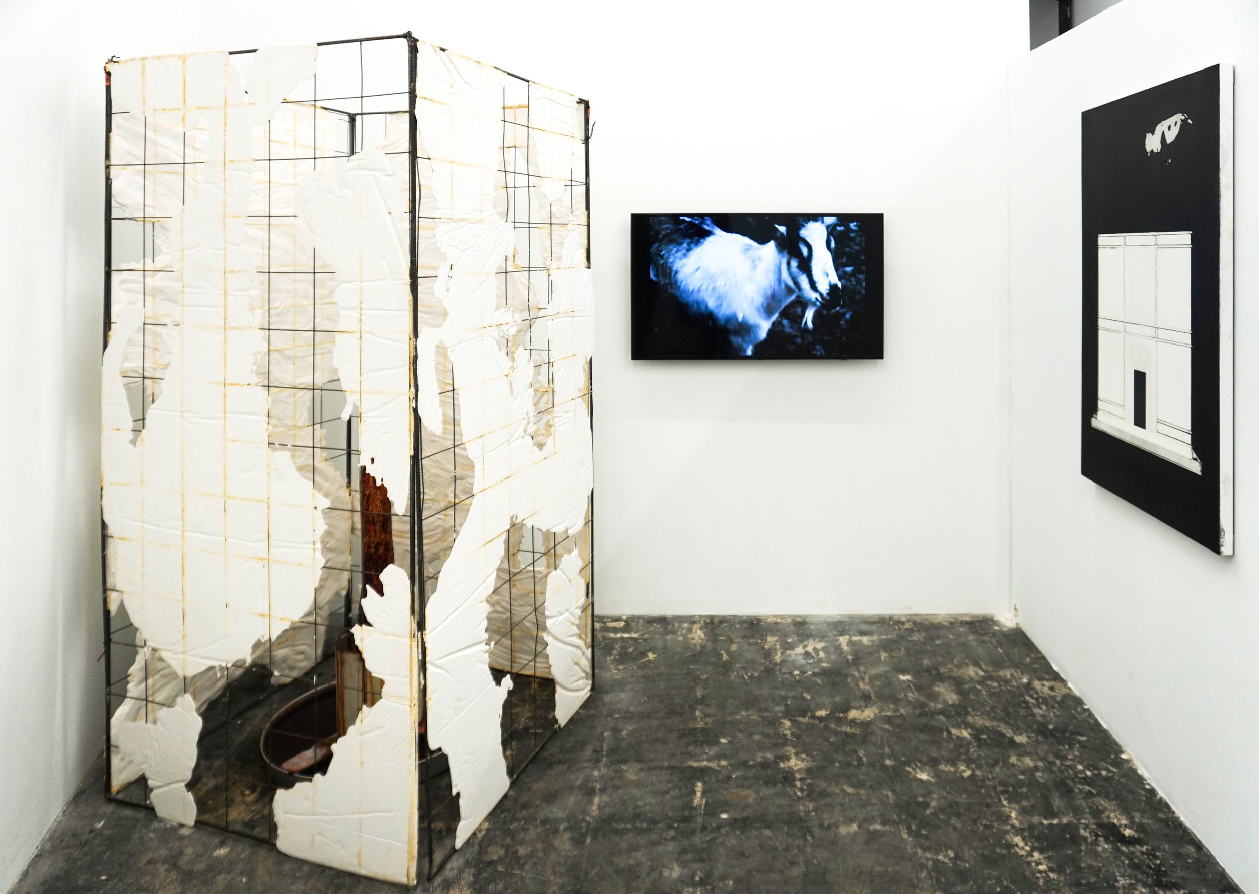  Installation view 