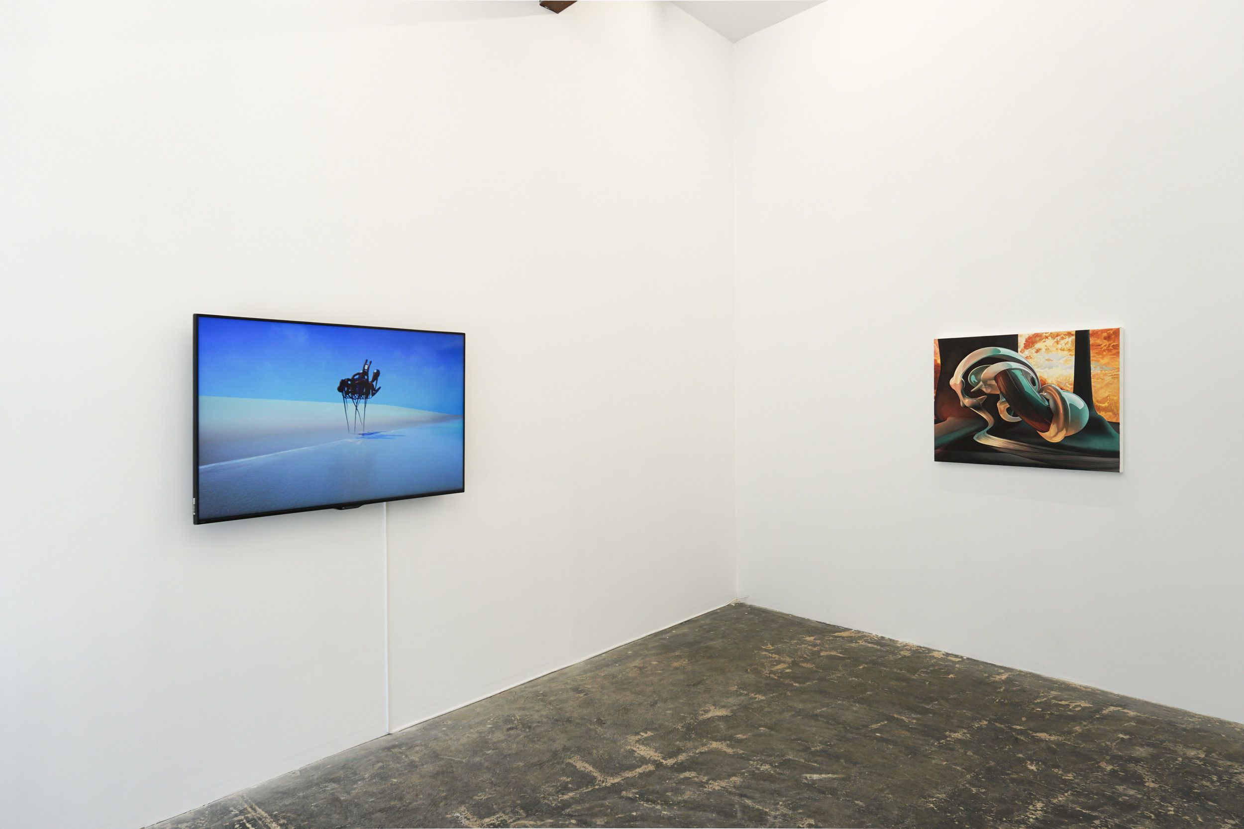  Installation view 